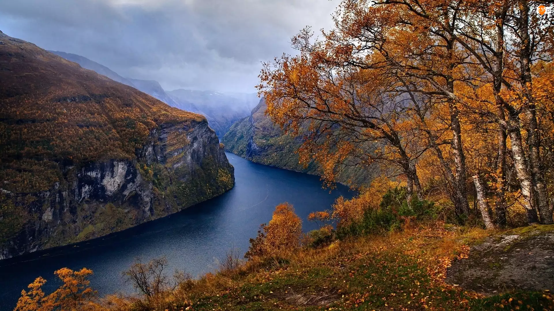 Jesień, Norwegia, Fiord Geirangerfjorden, Góry, Drzewa