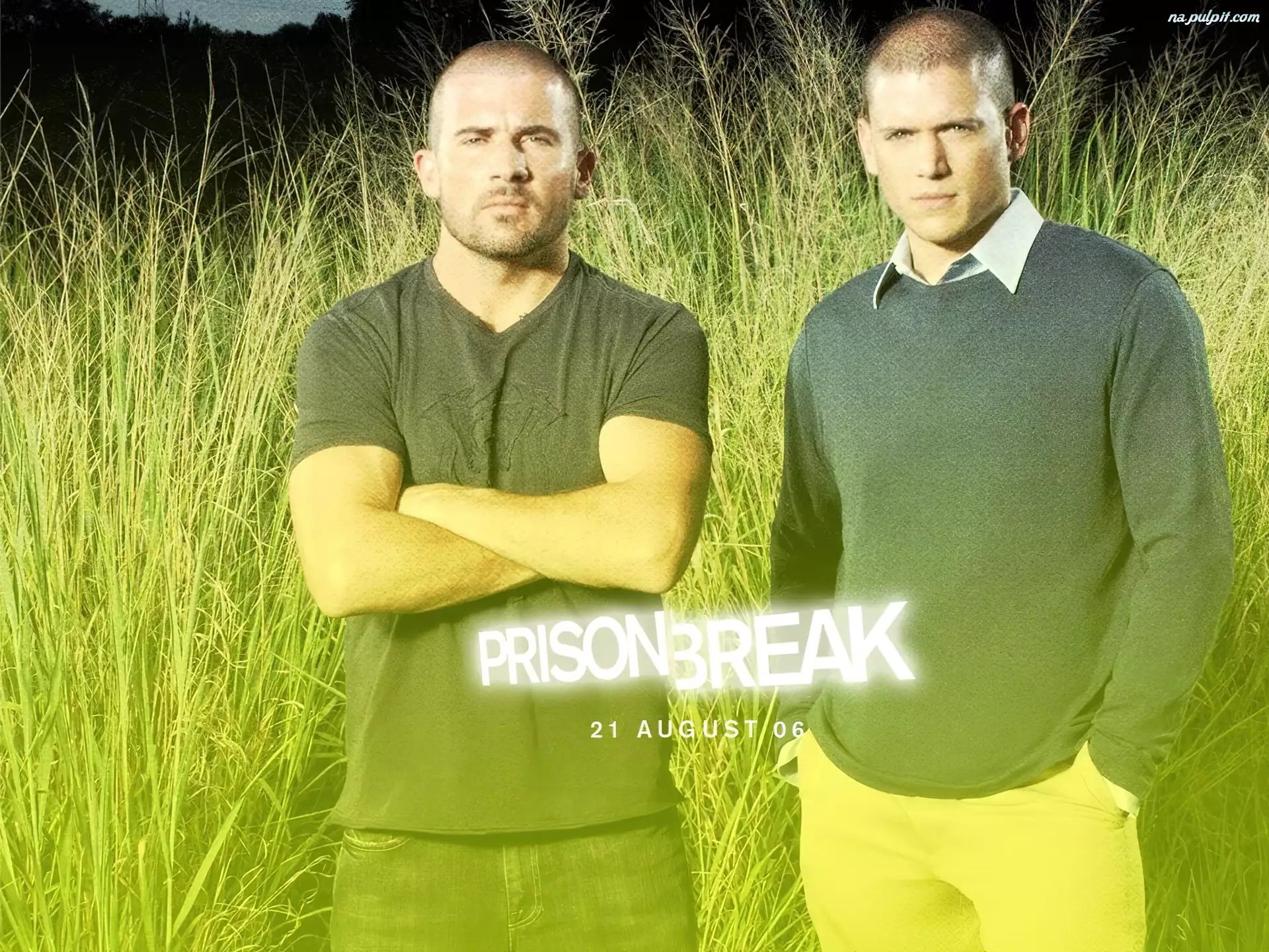 Prison Break, trawa, Wentworth Miller, Dominic Purcell