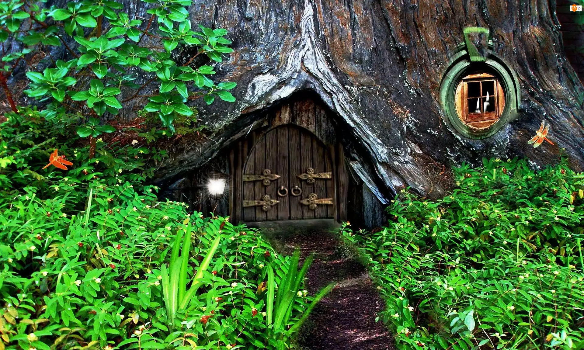 Ogród, Domek, Hobbit