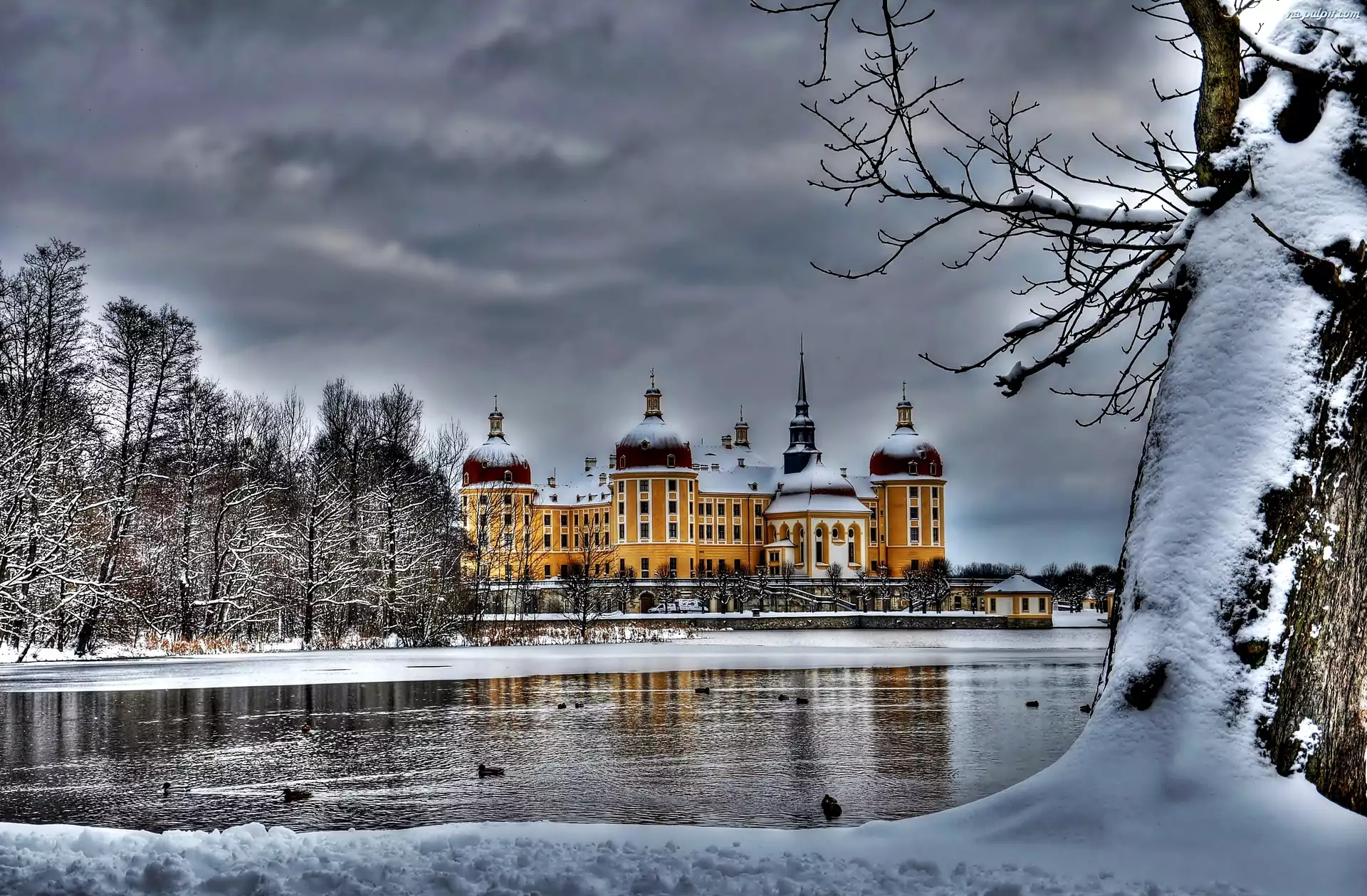Śnieg, Niemcy, Pałac Moritzburg, Zima, Saksonia, Jezioro, Drzewa, Miejscowość Moritzburg