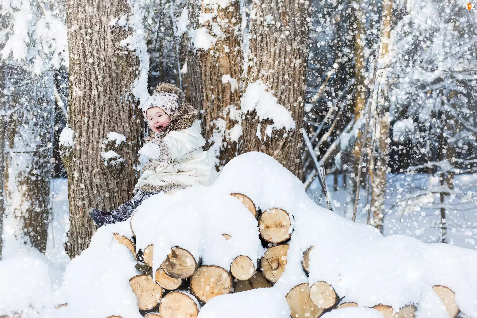 Zima, Drzewa, Śnieg, Dziecko