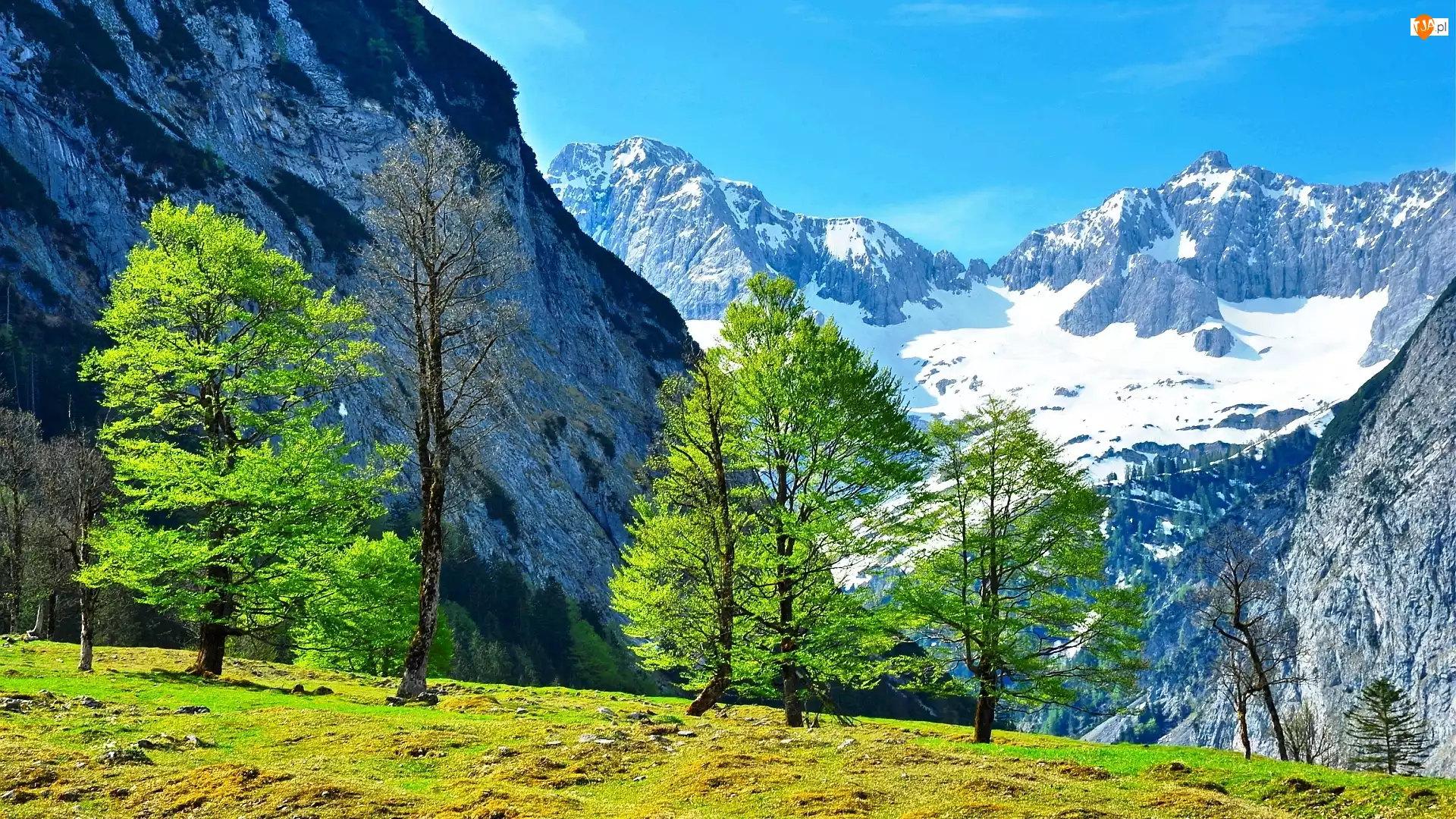Austria, Góry, Drzewa, Śnieg, Alpy