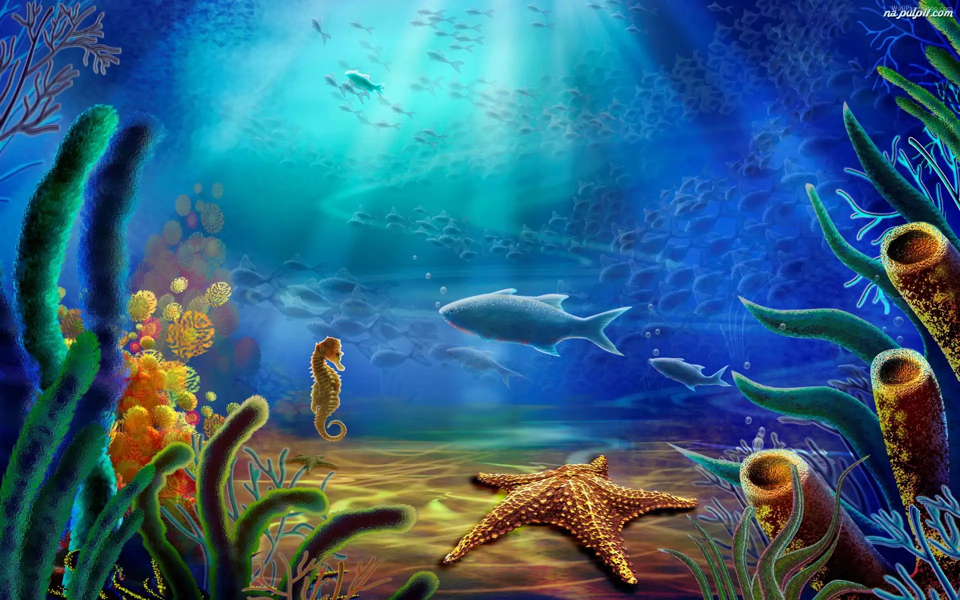 Pod wodą, 3D, Ryba, Konik morski