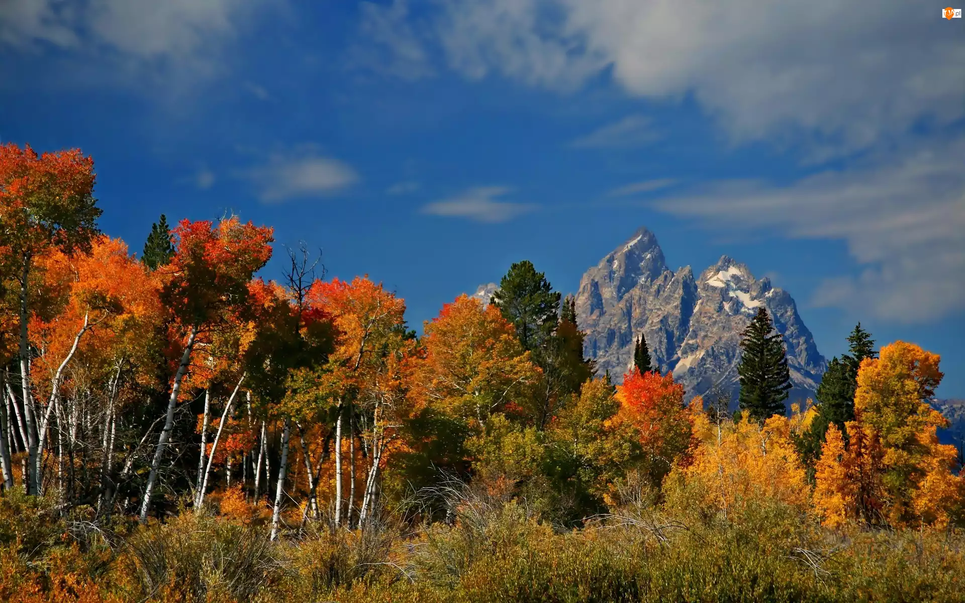 Wyoming, Jesień, Park, Narodowy