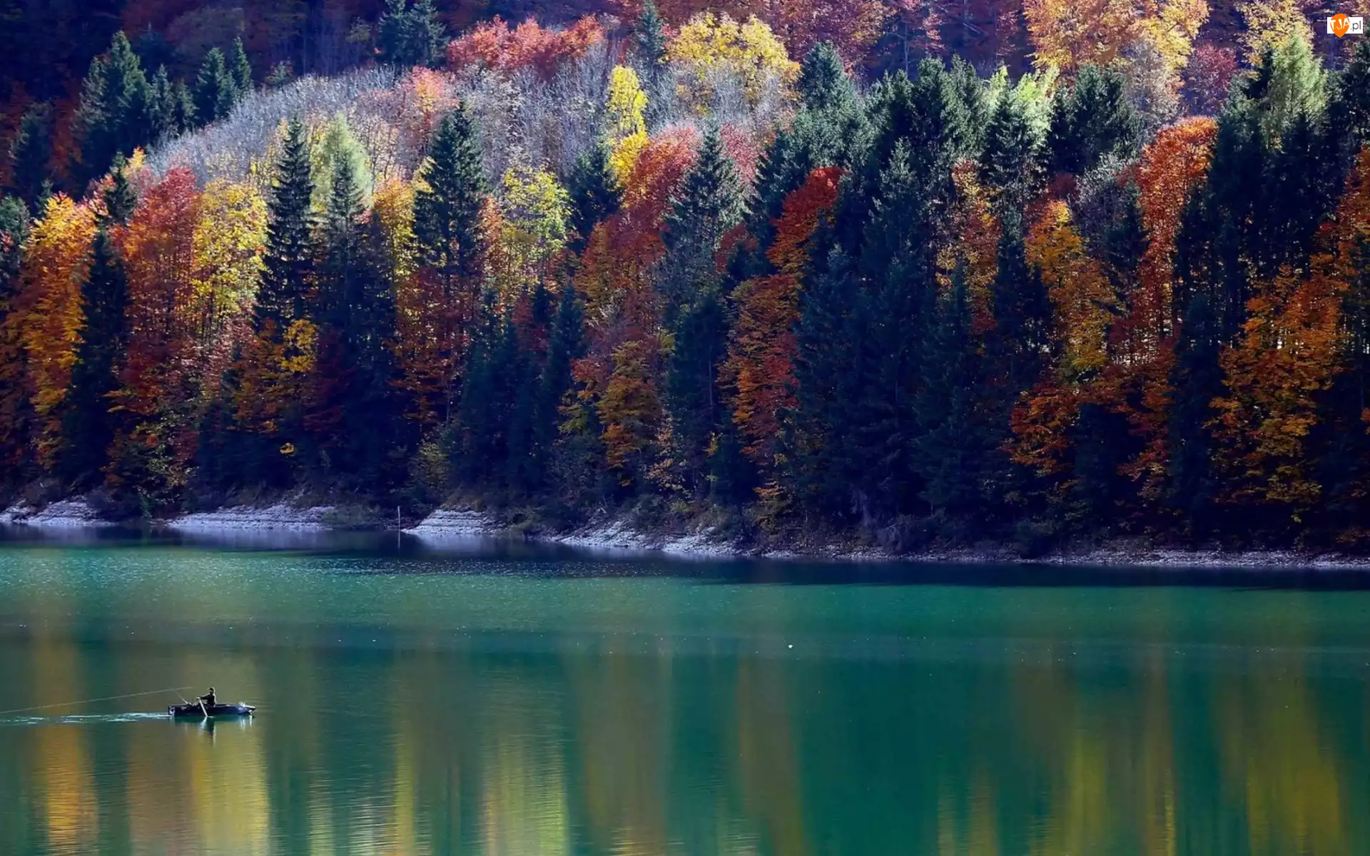 Lasy, Drzewa, Jezioro, Jesień, Łódka, Kolorowe