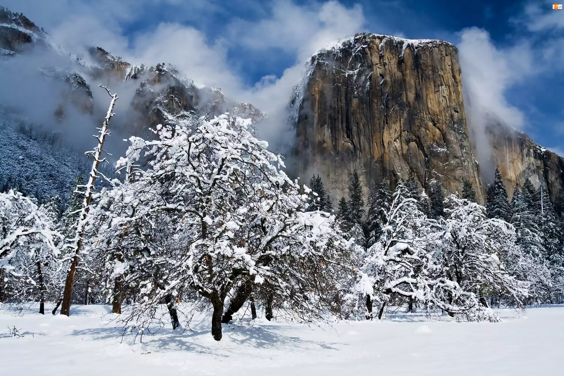 Szczyt El Capitan, Stany Zjednoczone, Stan Kalifornia, Park Narodowy Yosemite