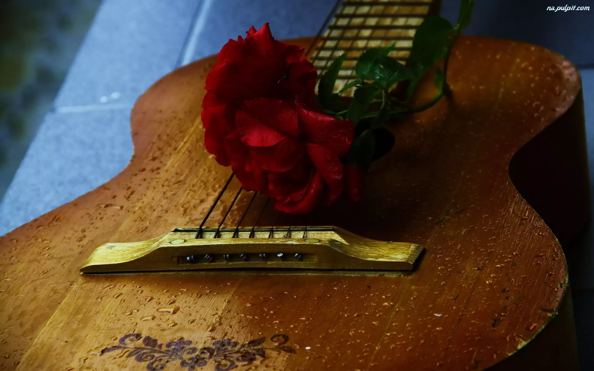 Róża, Gitara, Akustyczna, Ornament