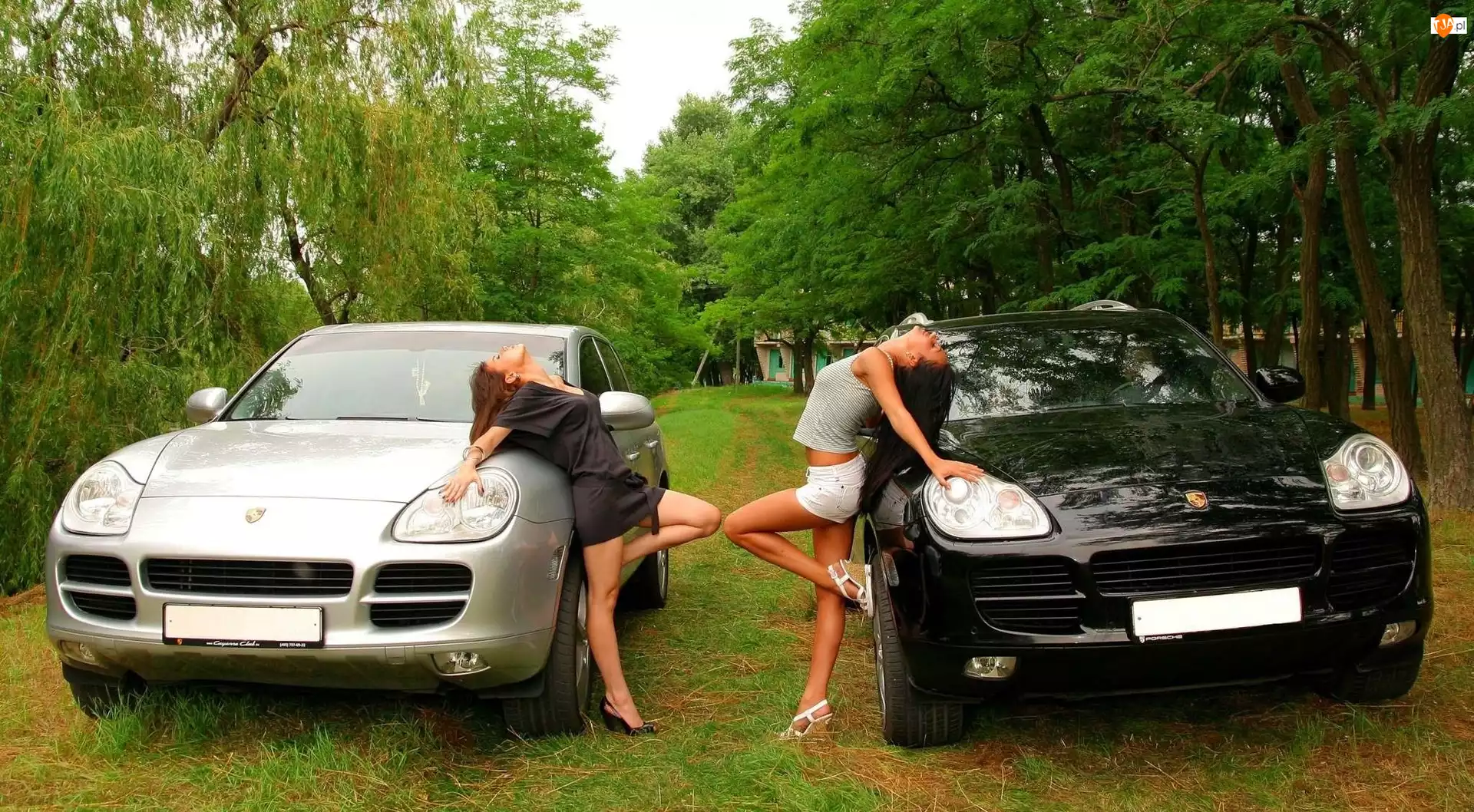 Porsche Cayenne, Kobiety, Samochody