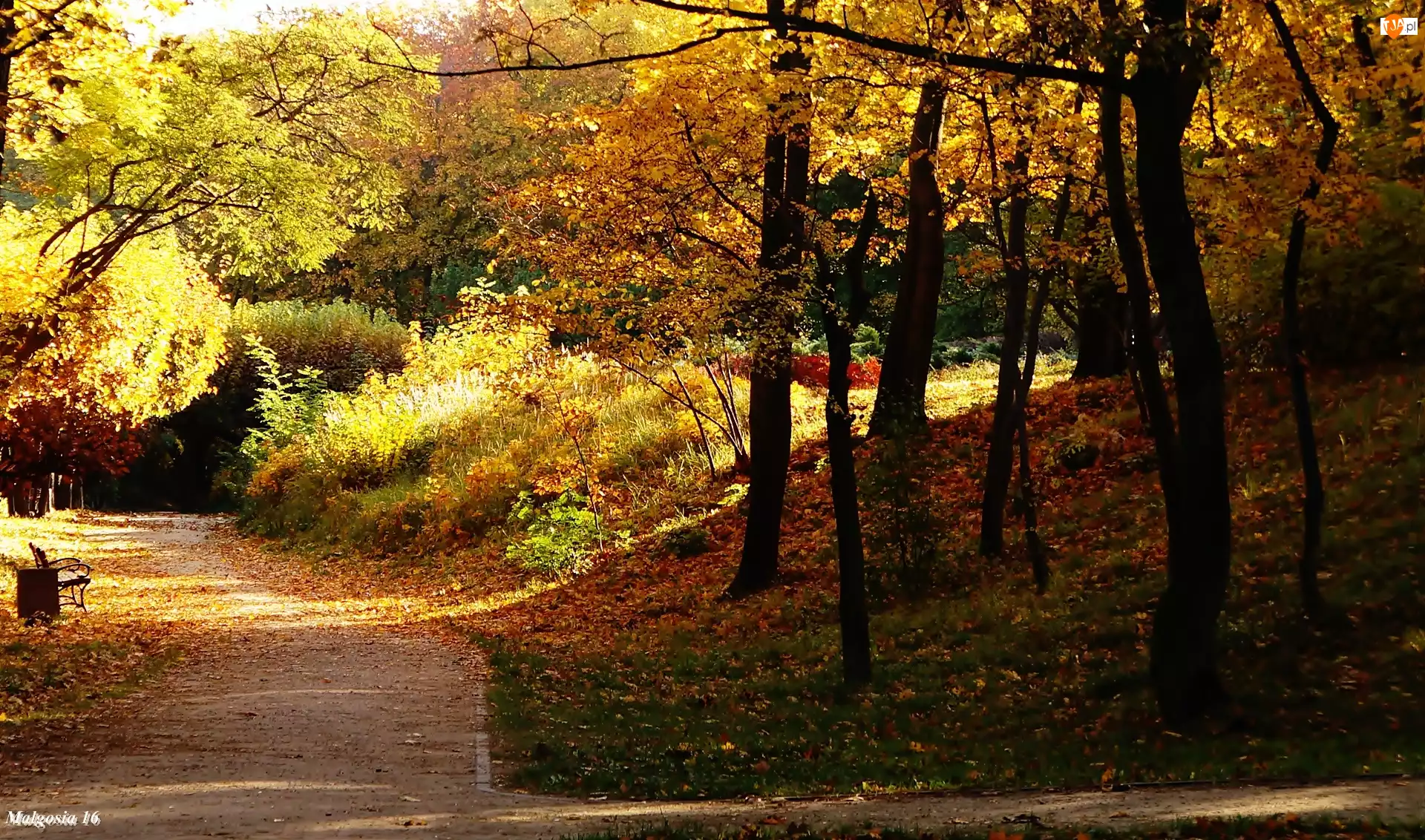 Jesień, Park, Ławka, Alejka, Drzewa