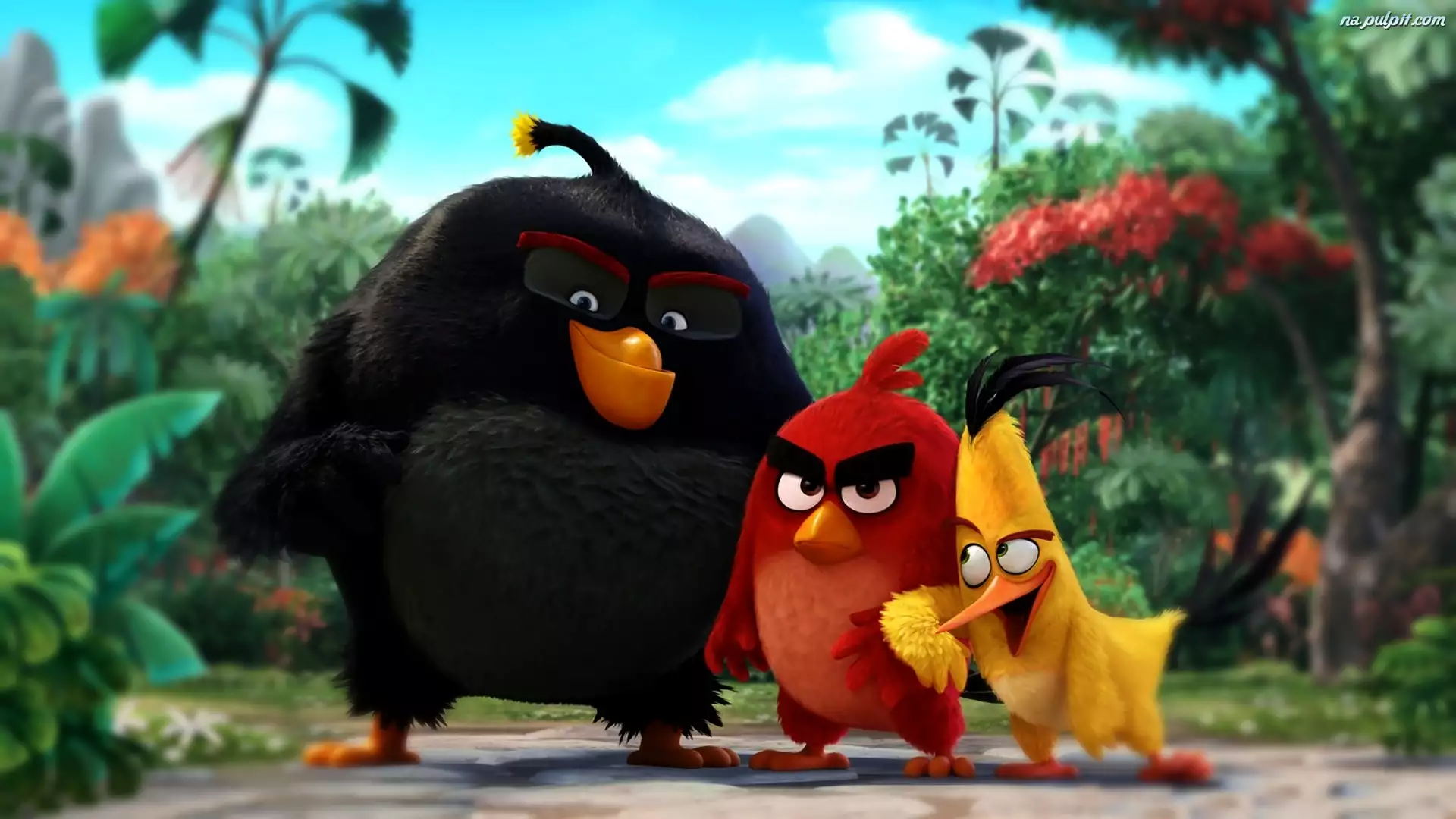 Film, Angry Birds, The Angry Birds Movie