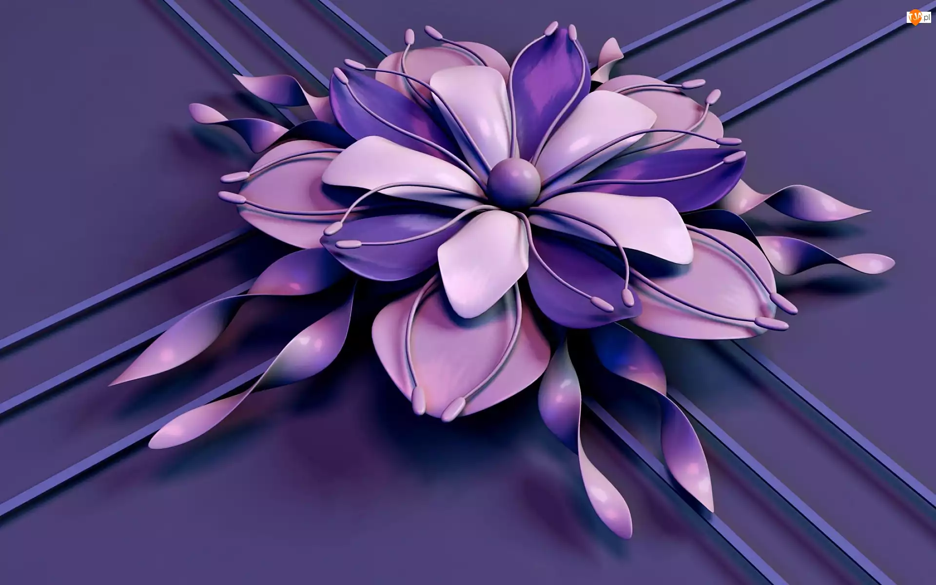Kwiat 3D, Grafika