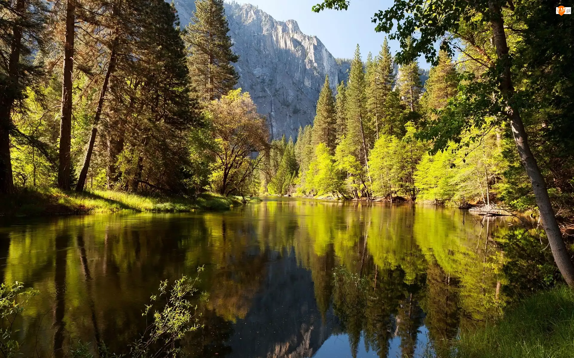 Stan Kalifornia, Stany Zjednoczone, Góry, Las, Park Narodowy Yosemite, Rzeka