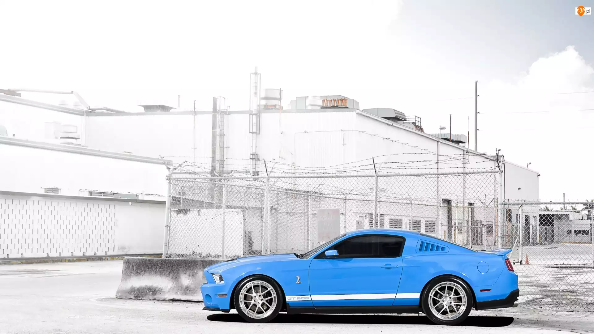 Błękitny, GT 500, Mustang, Shelby