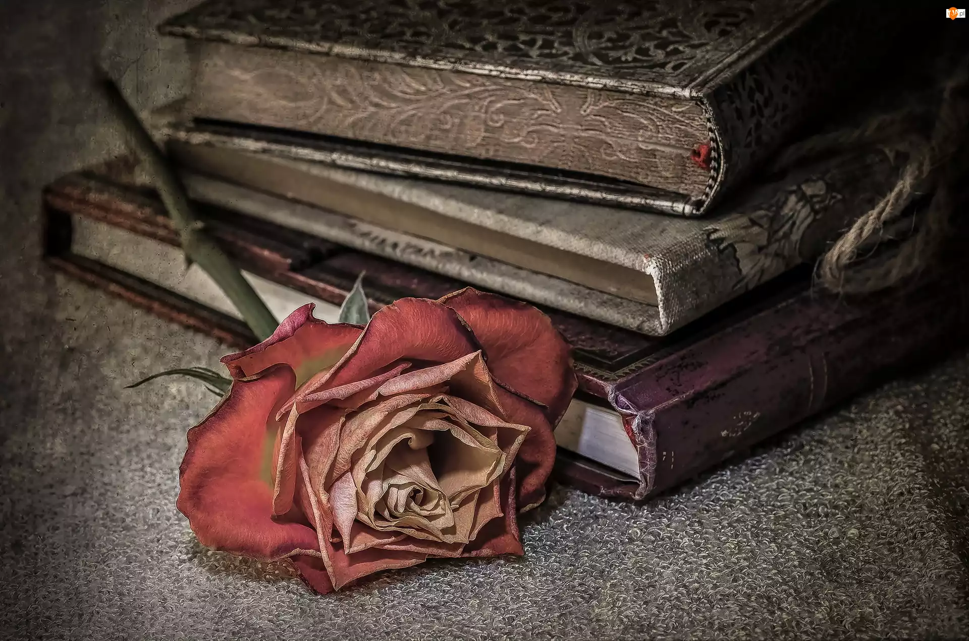 Róża, Stare, Książki