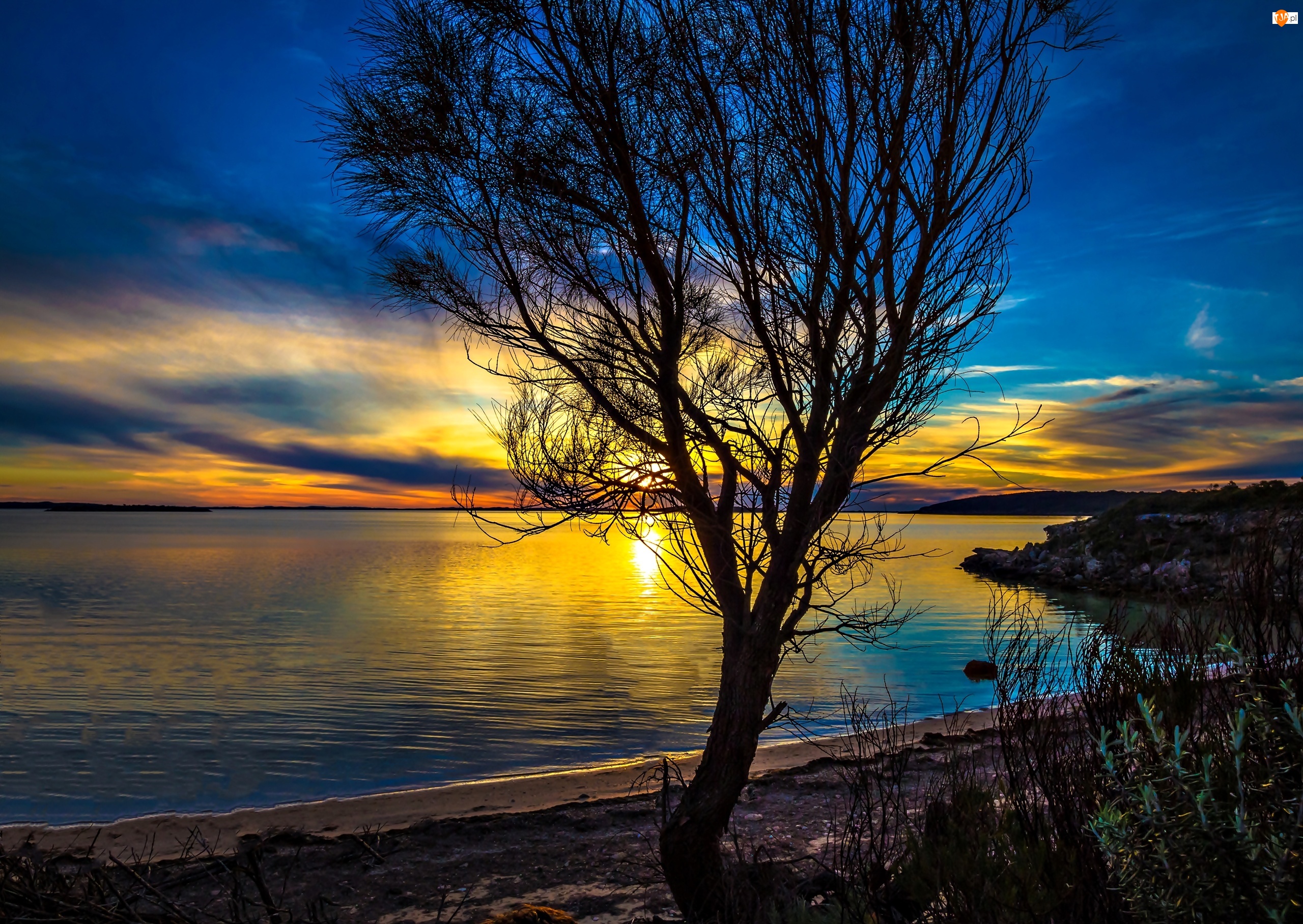 Australia, Zachód Słońca, Drzewo