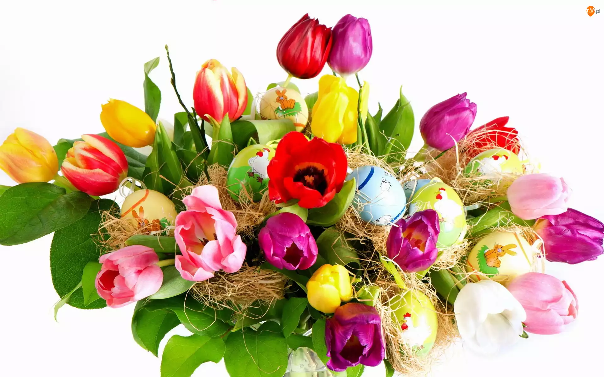 Wielkanoc, Kolorowe, Tulipany, Pisanki