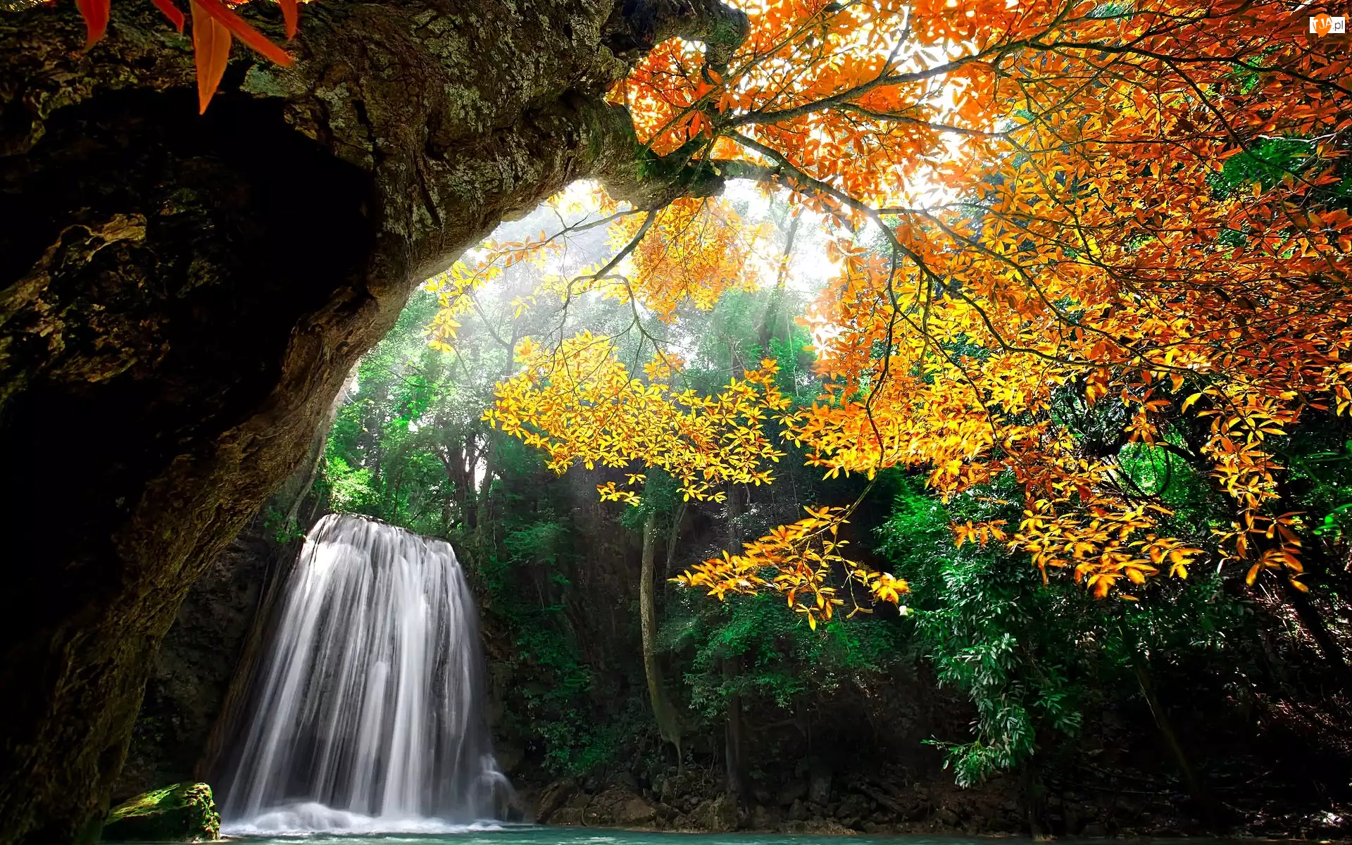 Jesień, Las, Drzewo, Wodospad, Przebijające Światło
