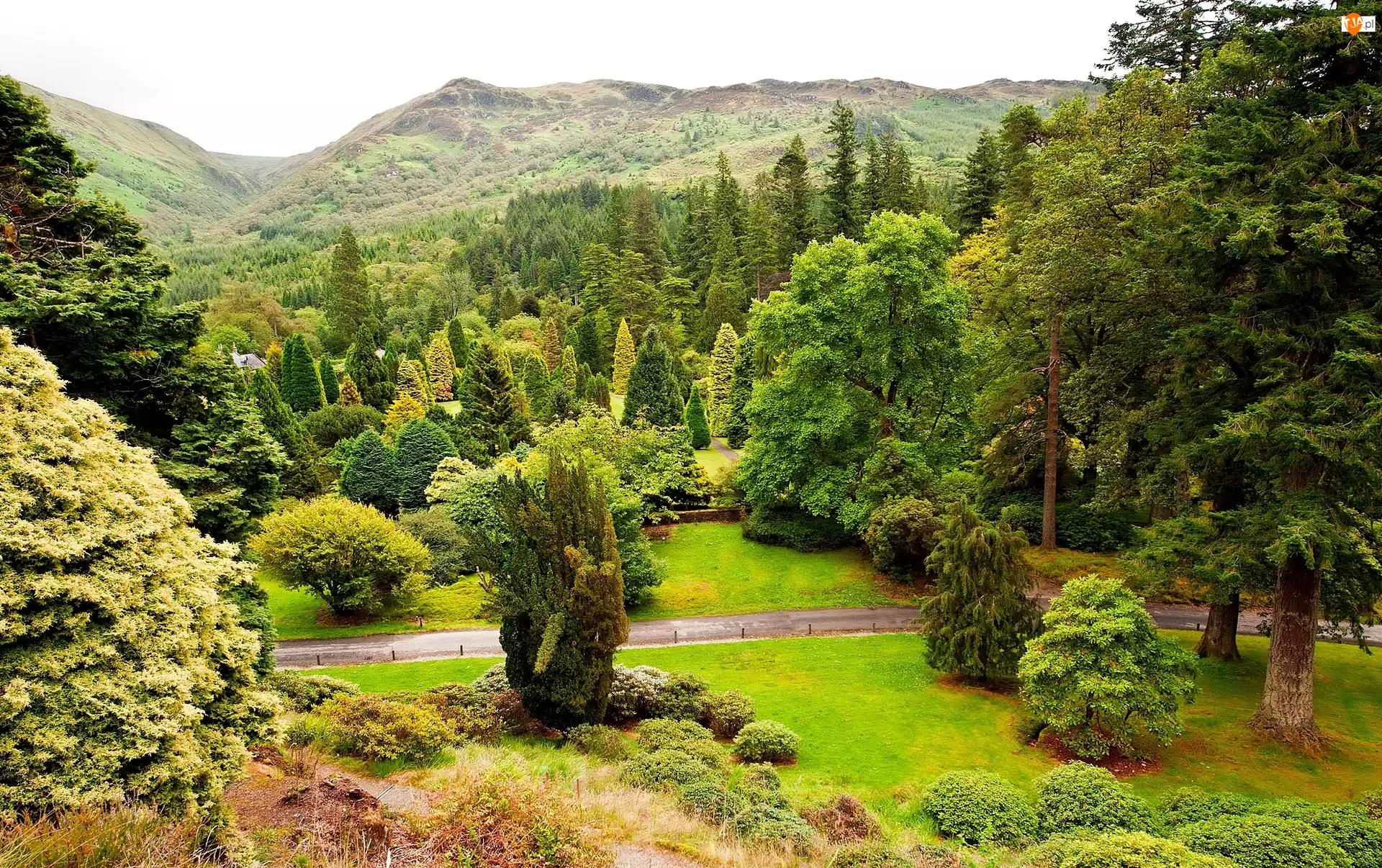 Góry, Szkocja, Ogród Botaniczny, Benmore, Argyll