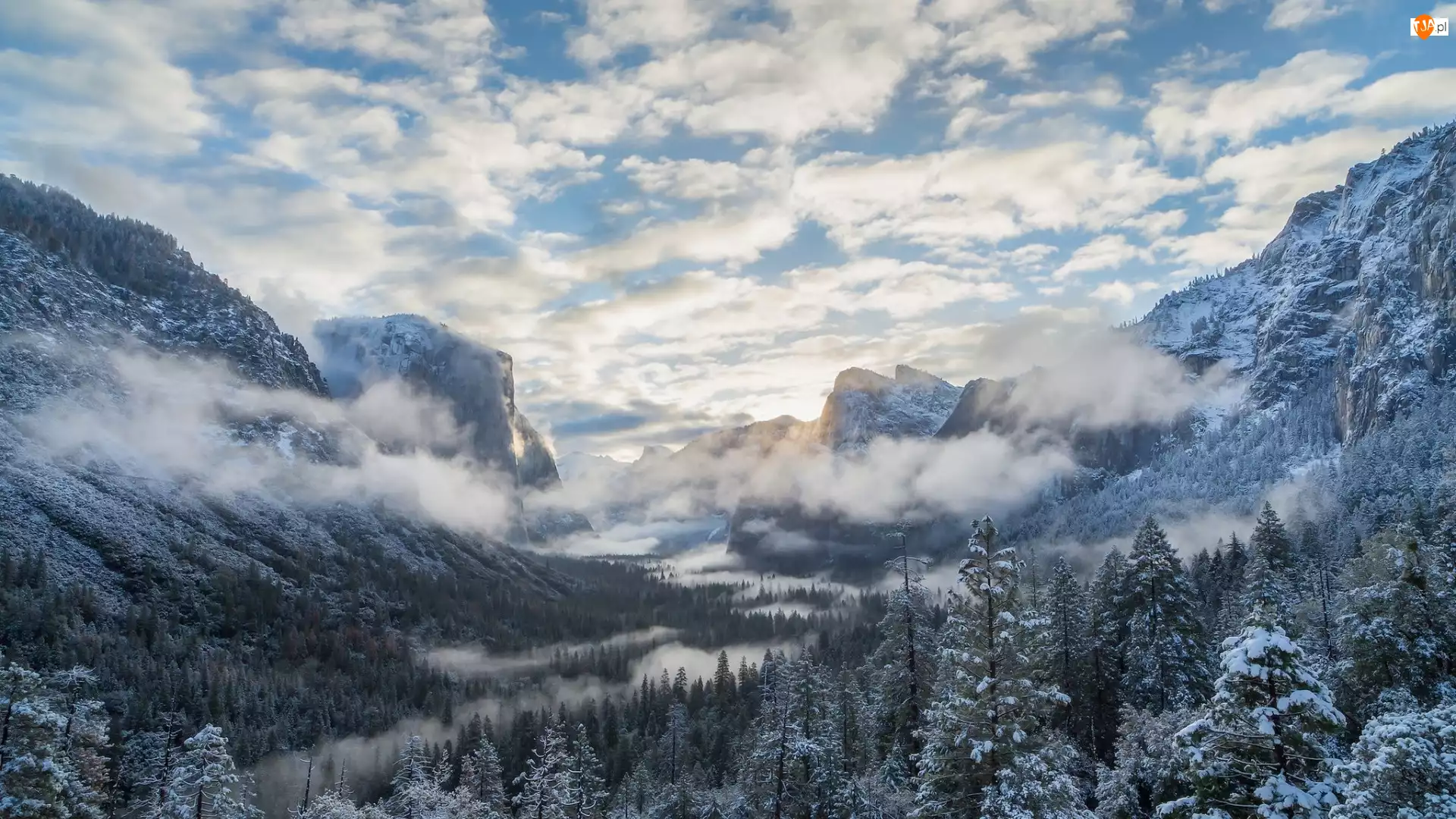 Park Narodowy Yosemite, Drzewa, Stan Kalifornia, Stany Zjednoczone, Góry