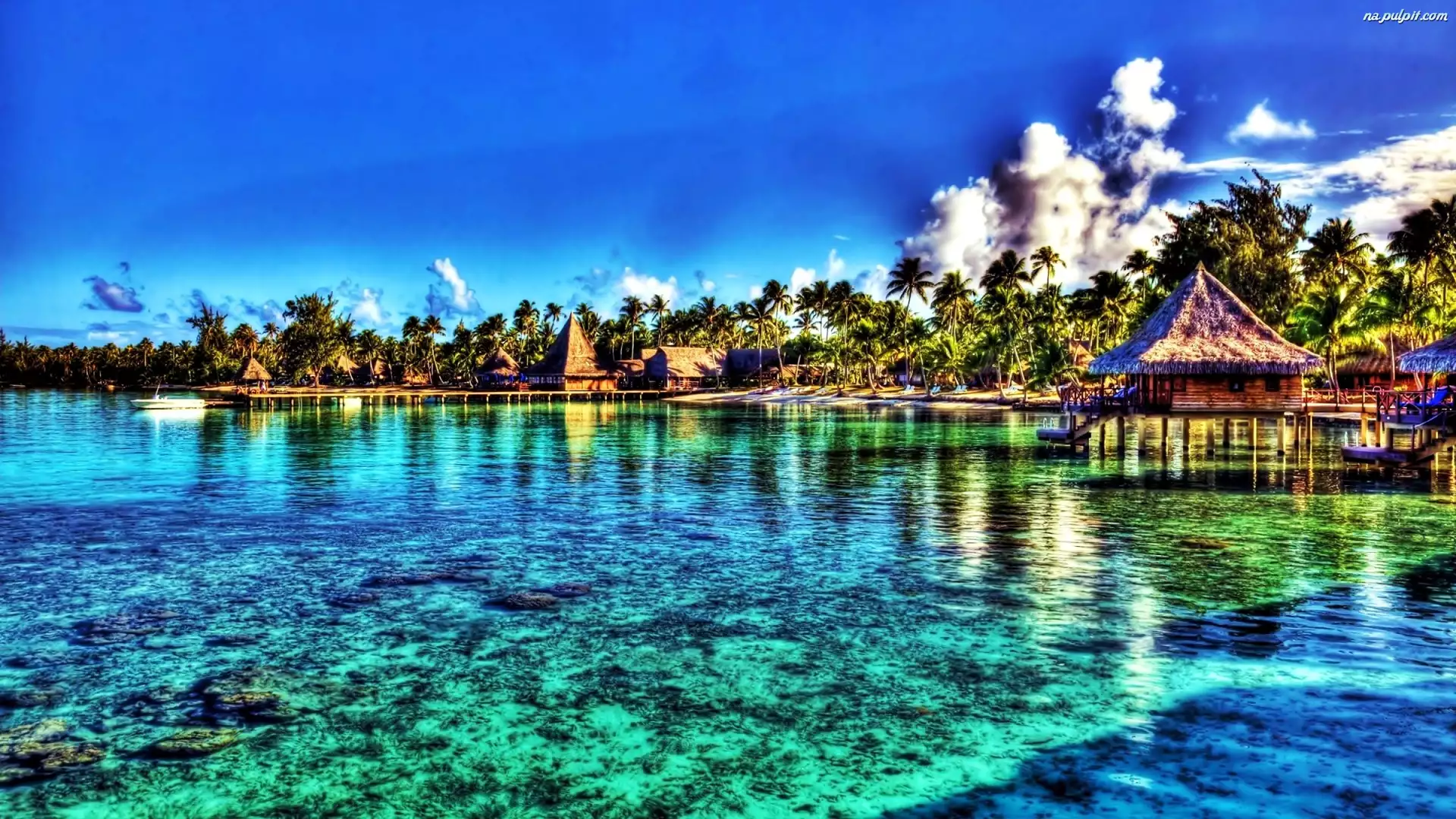 Domki, Tahiti, Morze, HDR, Wybrzeże, Palmy