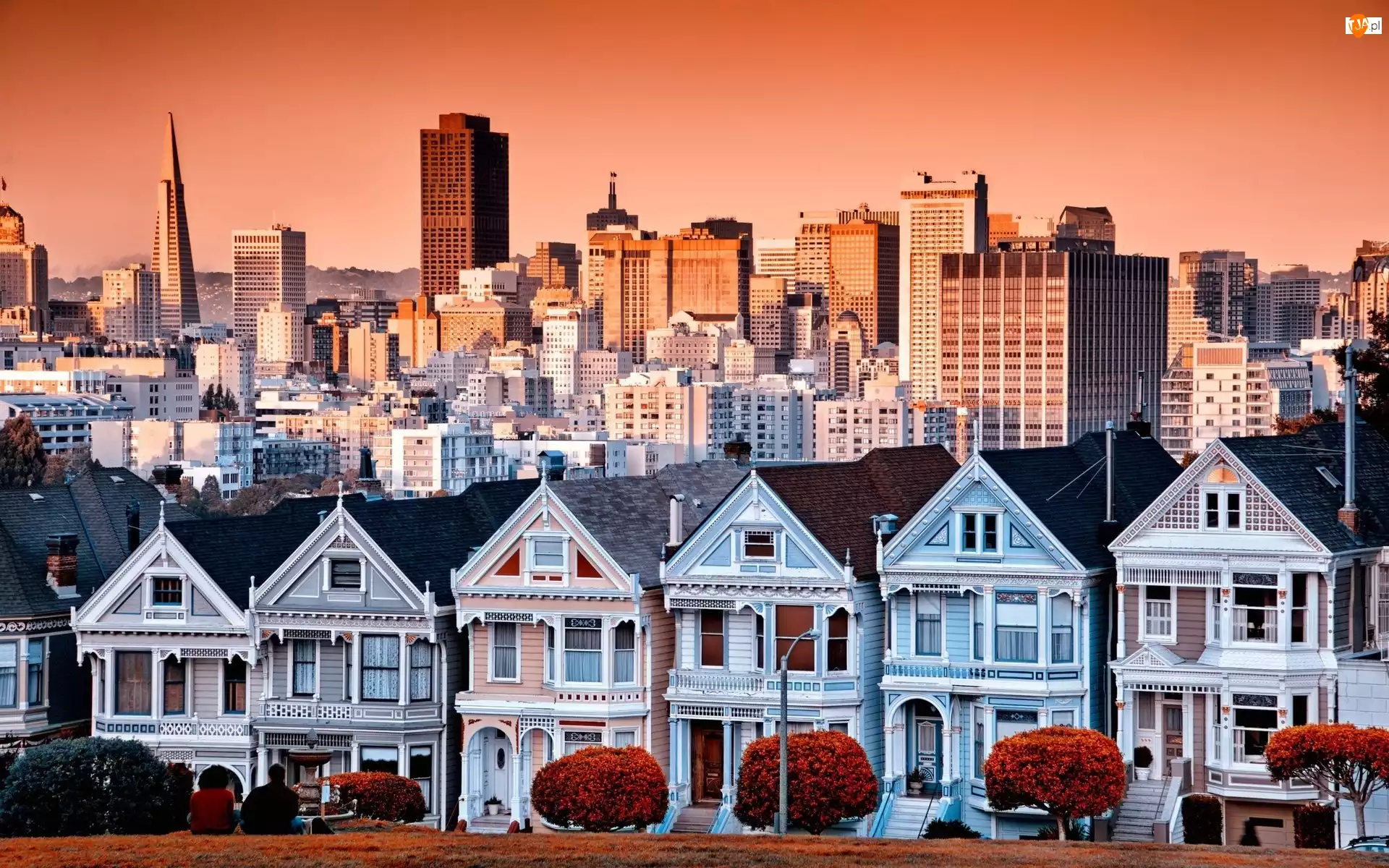 Panorama, San Francisco, Domy, Kalifornia, Wieżowce, Miasta