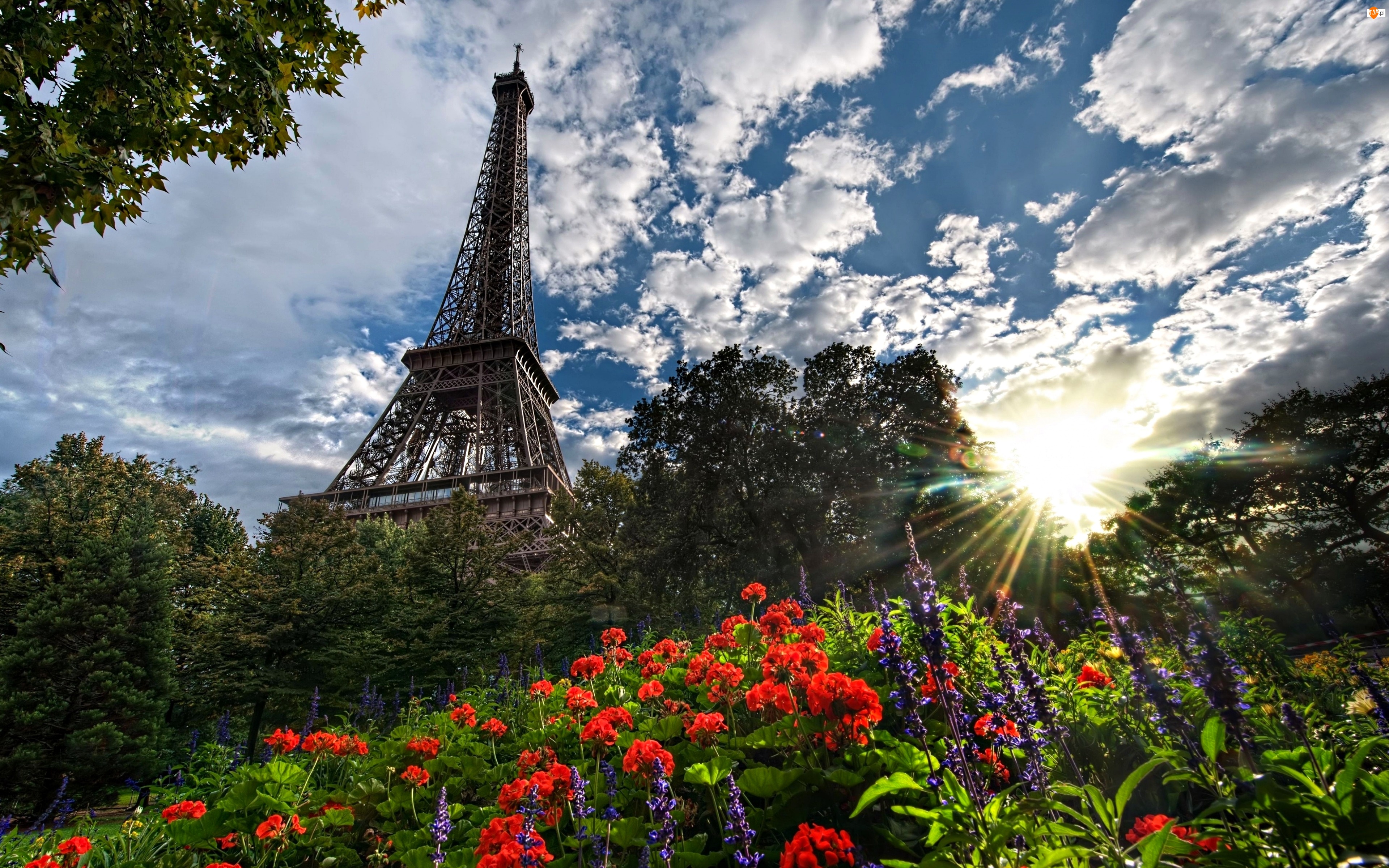 Paryż, Wieża Eiffla, Kwiaty