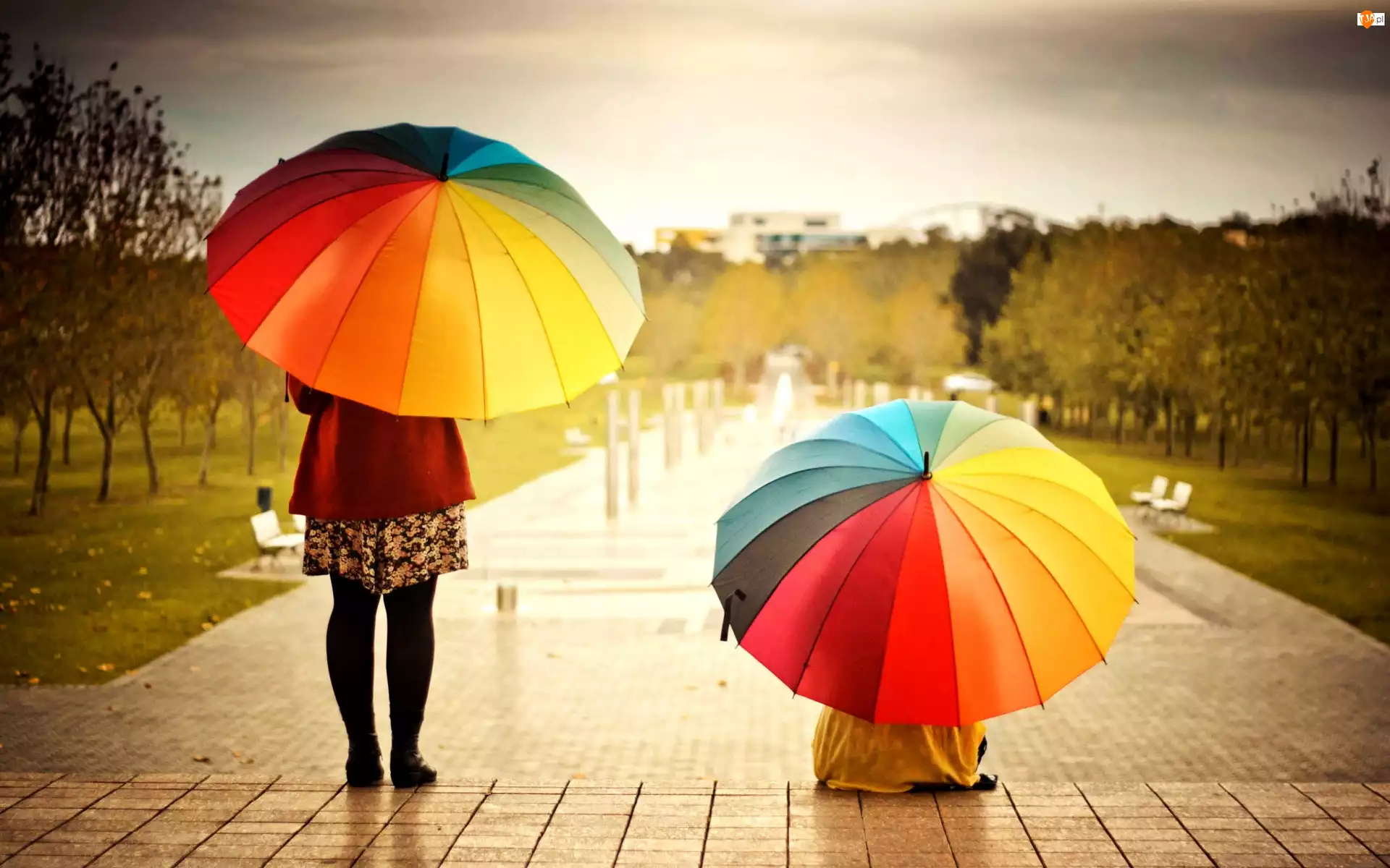Parasolki, Kolorowe, Kobiety, Deszcz, Dwie, Basen