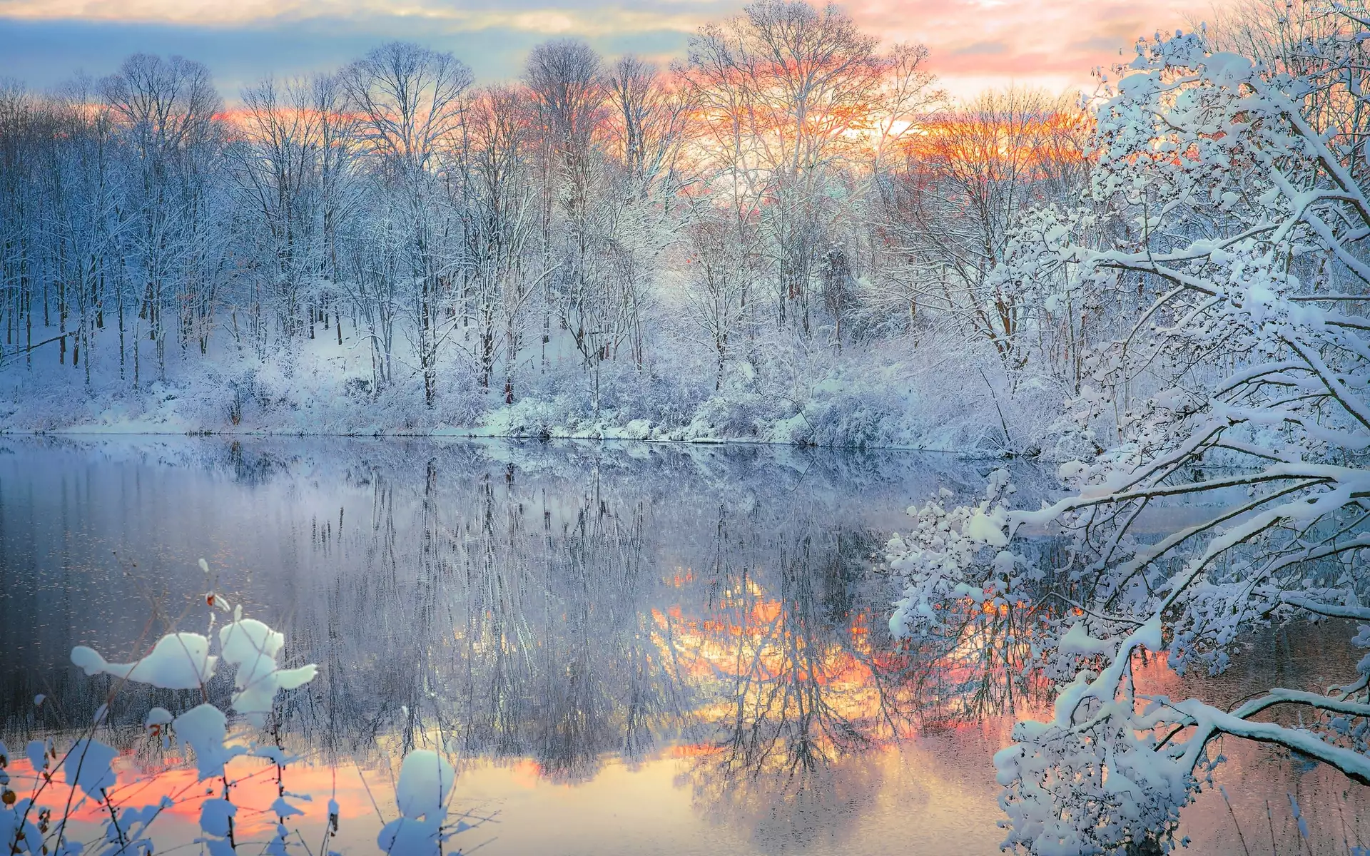 Snowy morning. Зима. Зима снег. Зима фото. Нежный пейзаж.