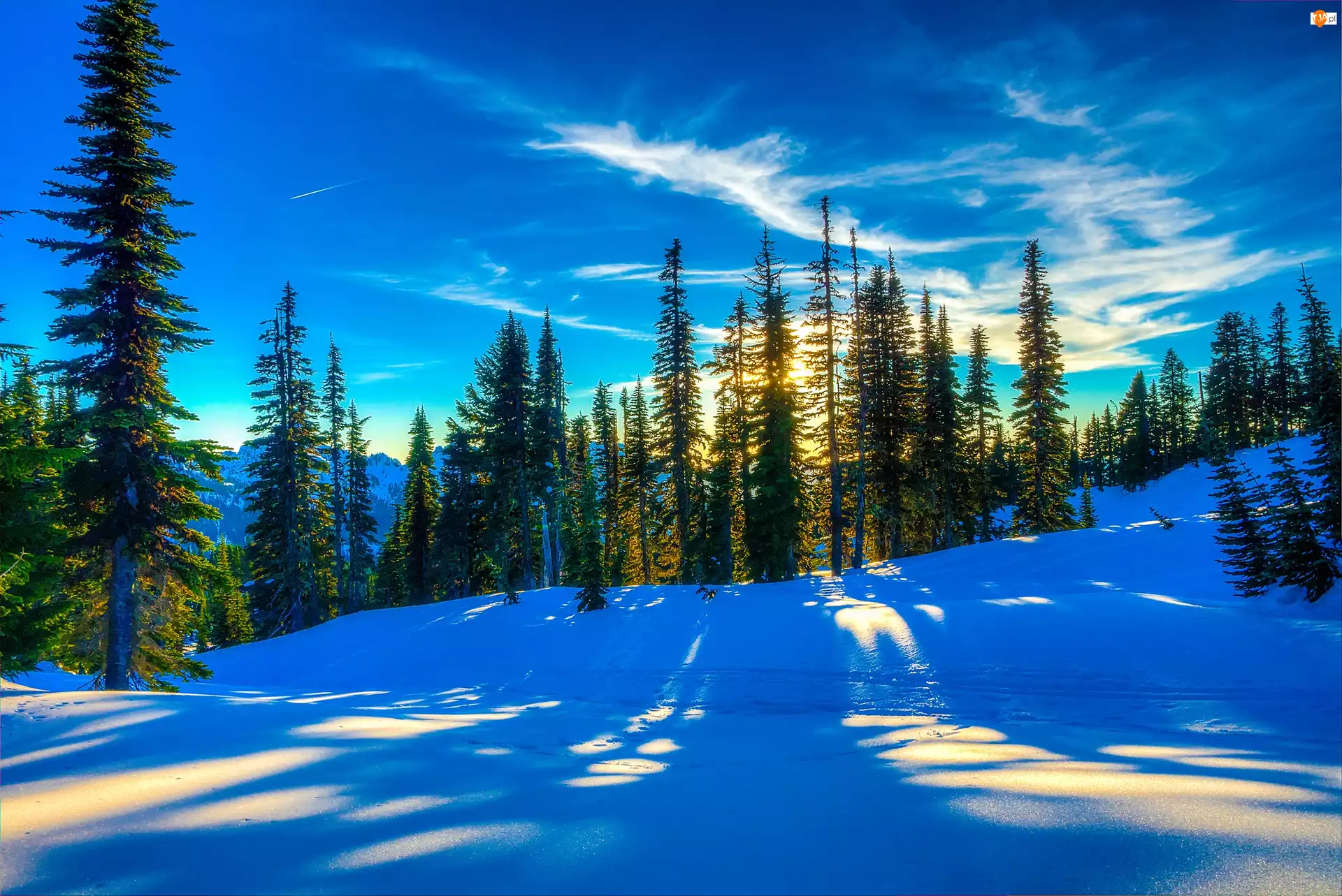 Drzewa, Zima, Zachód, Śnieg, Słońca
