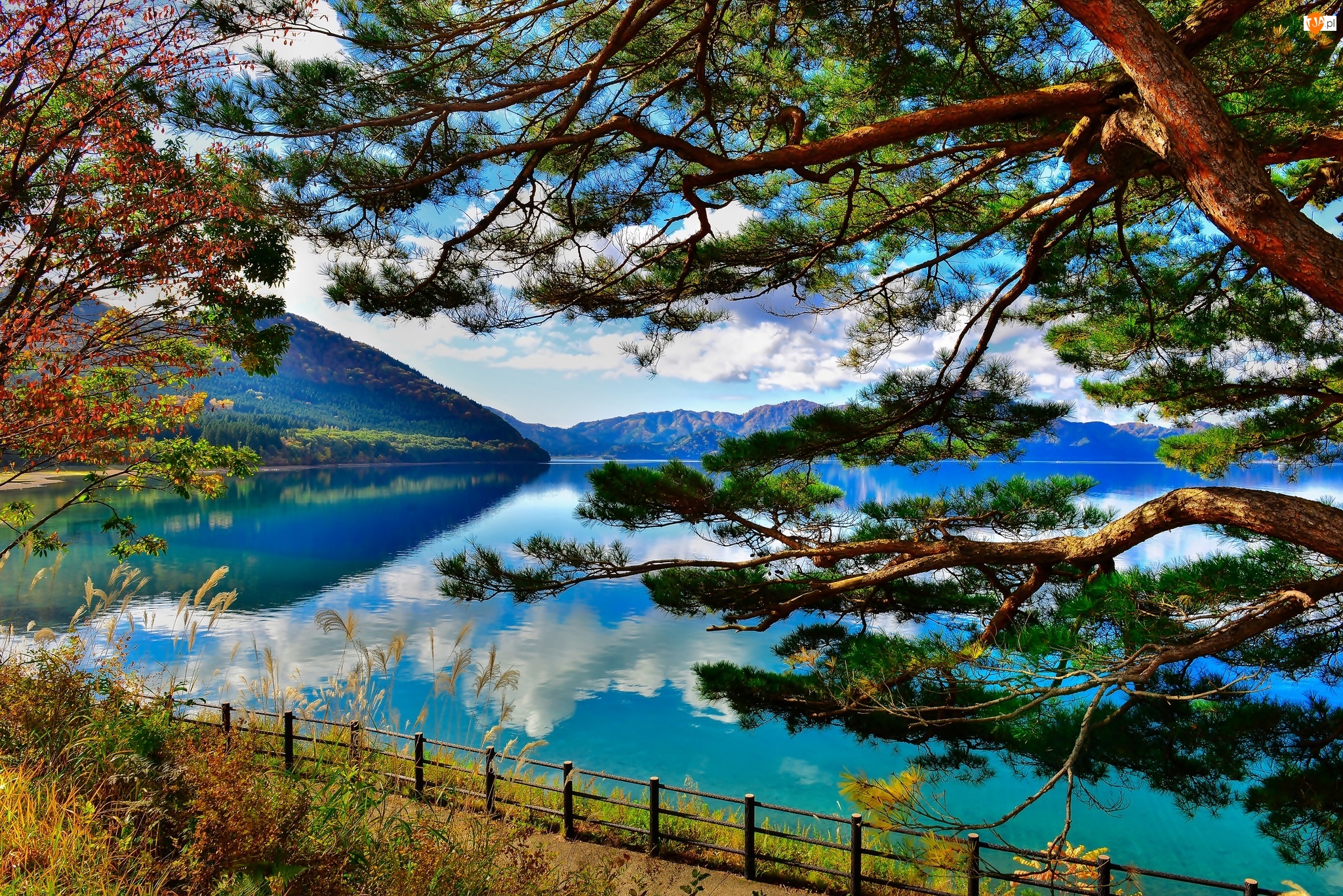 Jezioro, Góry, Drzewa, Japonia, Tazawa Lake, Akita