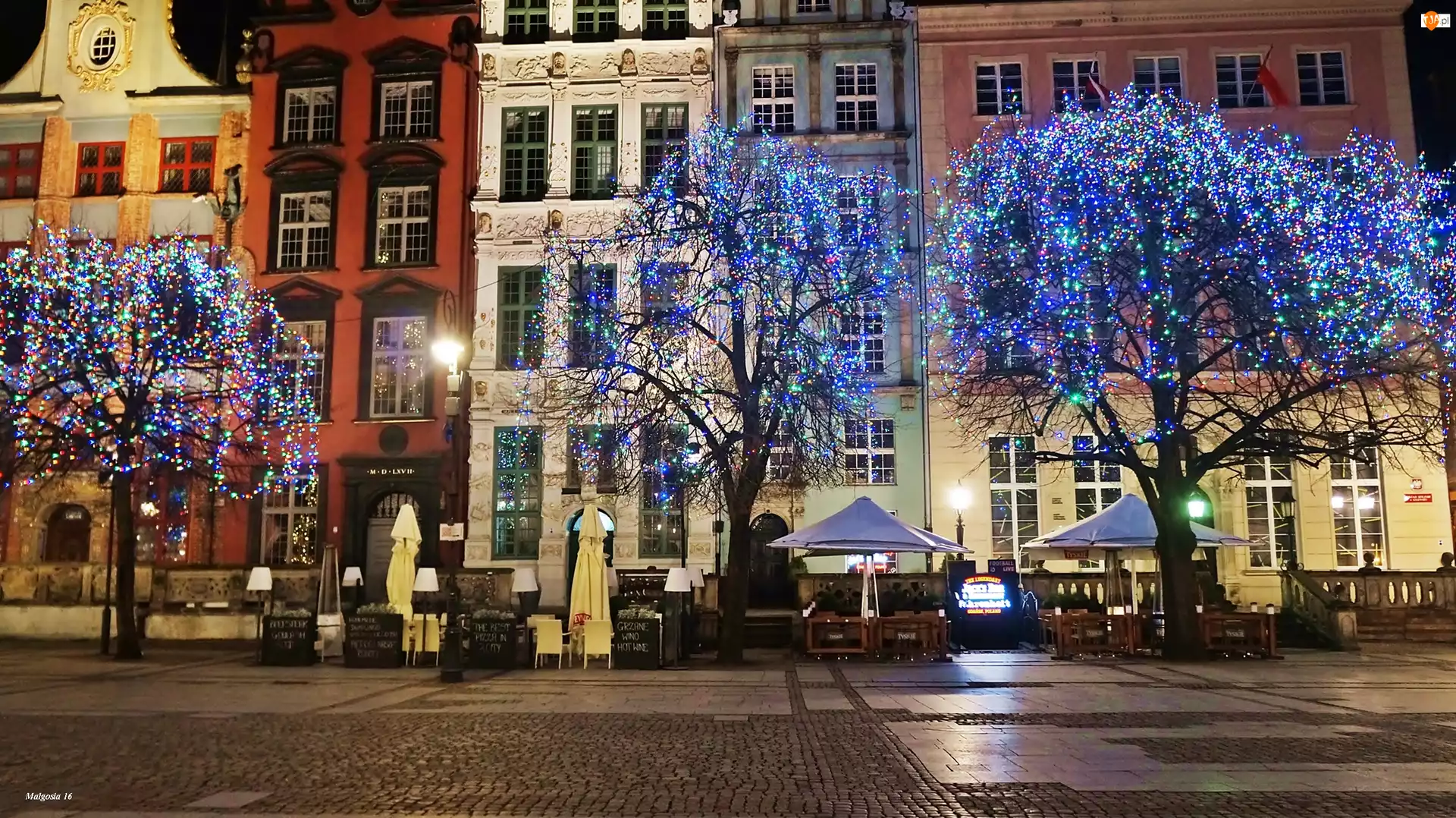 Lampki, Kamienice, Gdańsk, Miasto, Świąteczne, Noc, Drzewa