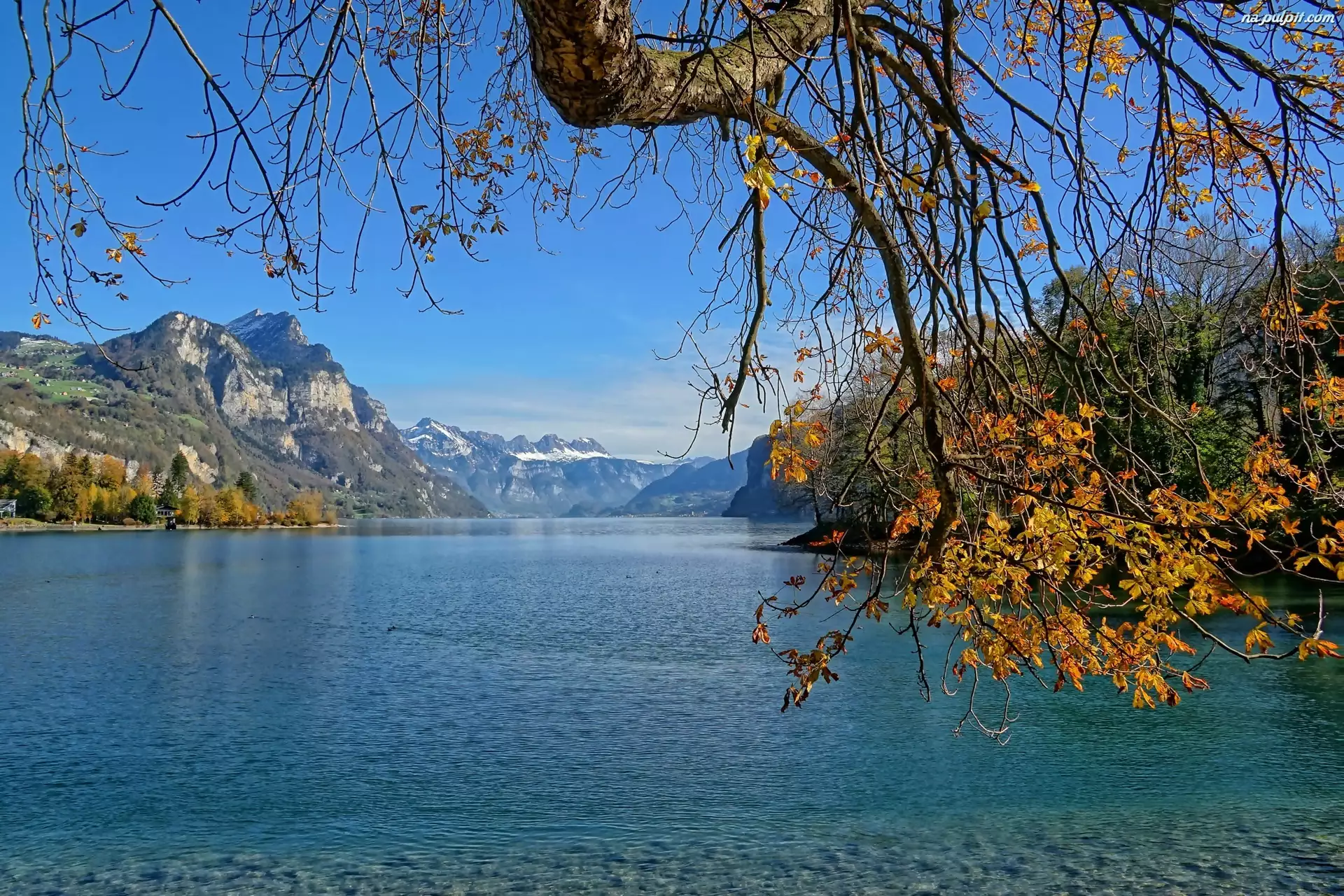 Jezioro, Jesień, Góry, Drzewo