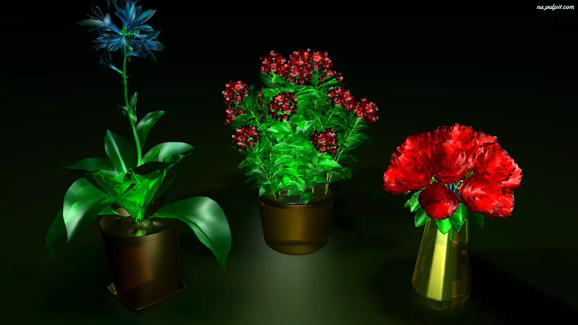 Grafika 3D, Kolorowe, Kwiaty