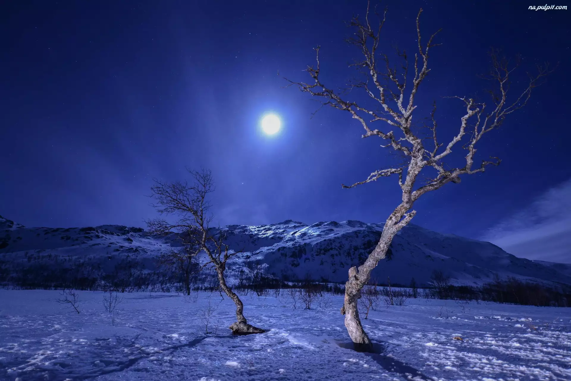 Zima, Księżyc, Góry, Drzewa