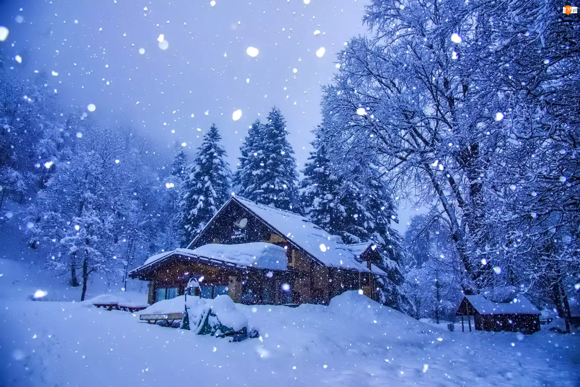 Drzewa, Zima, Śnieg, Dom