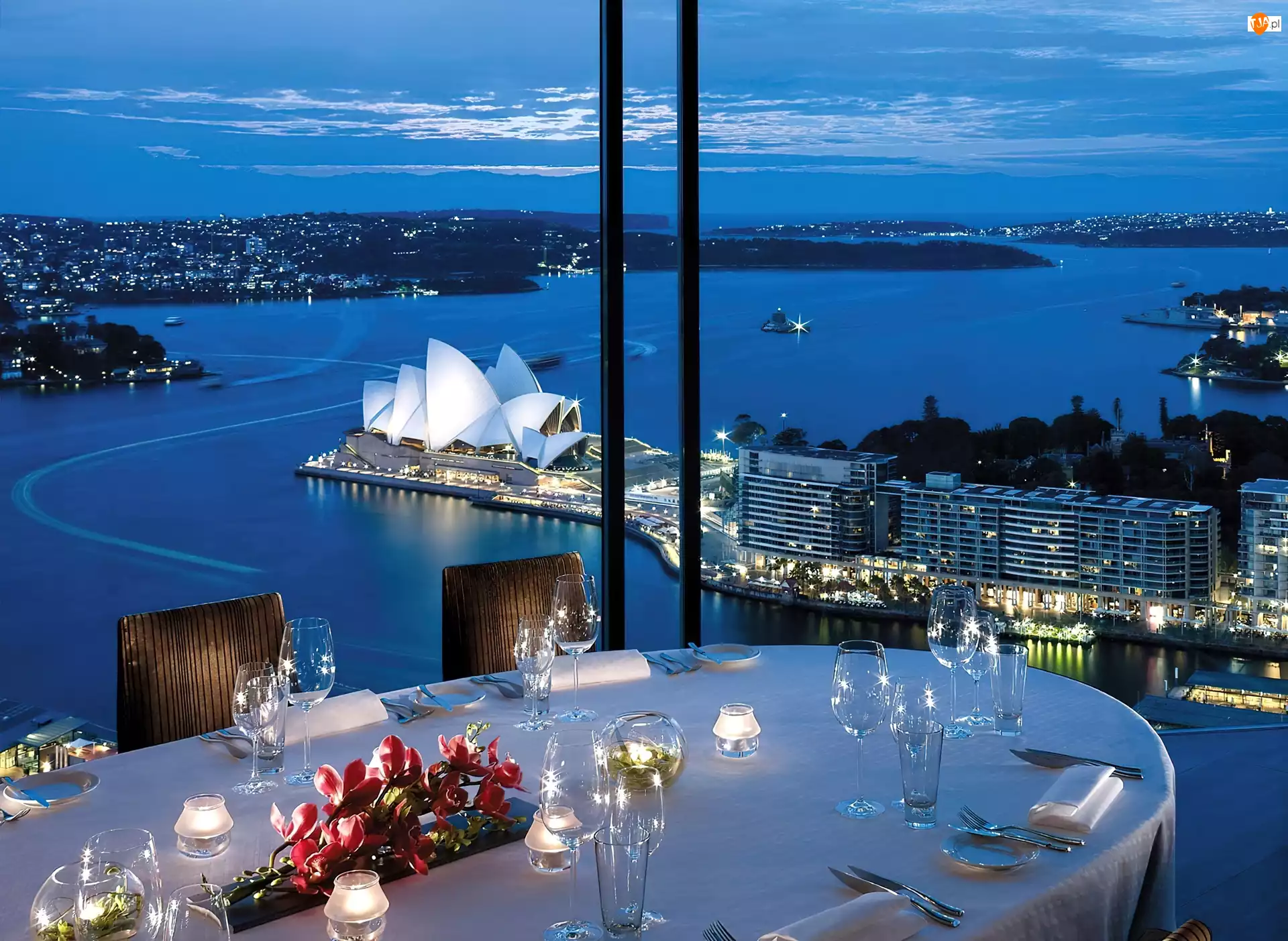 Sydney, Australia, Taras, Panorama, Restauracja, Opera w Sydney