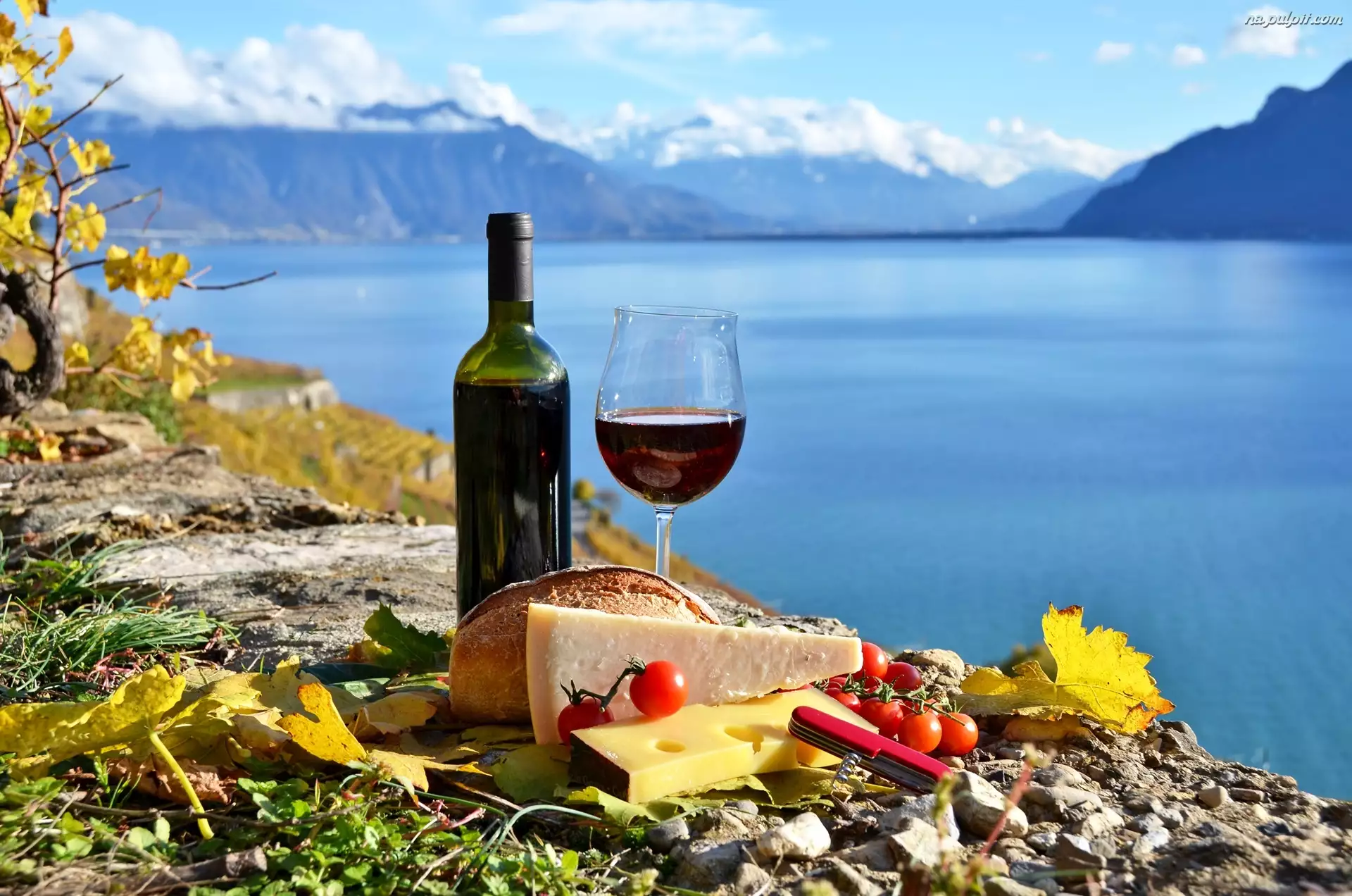 Piknik, Jezioro, Góry, Wino