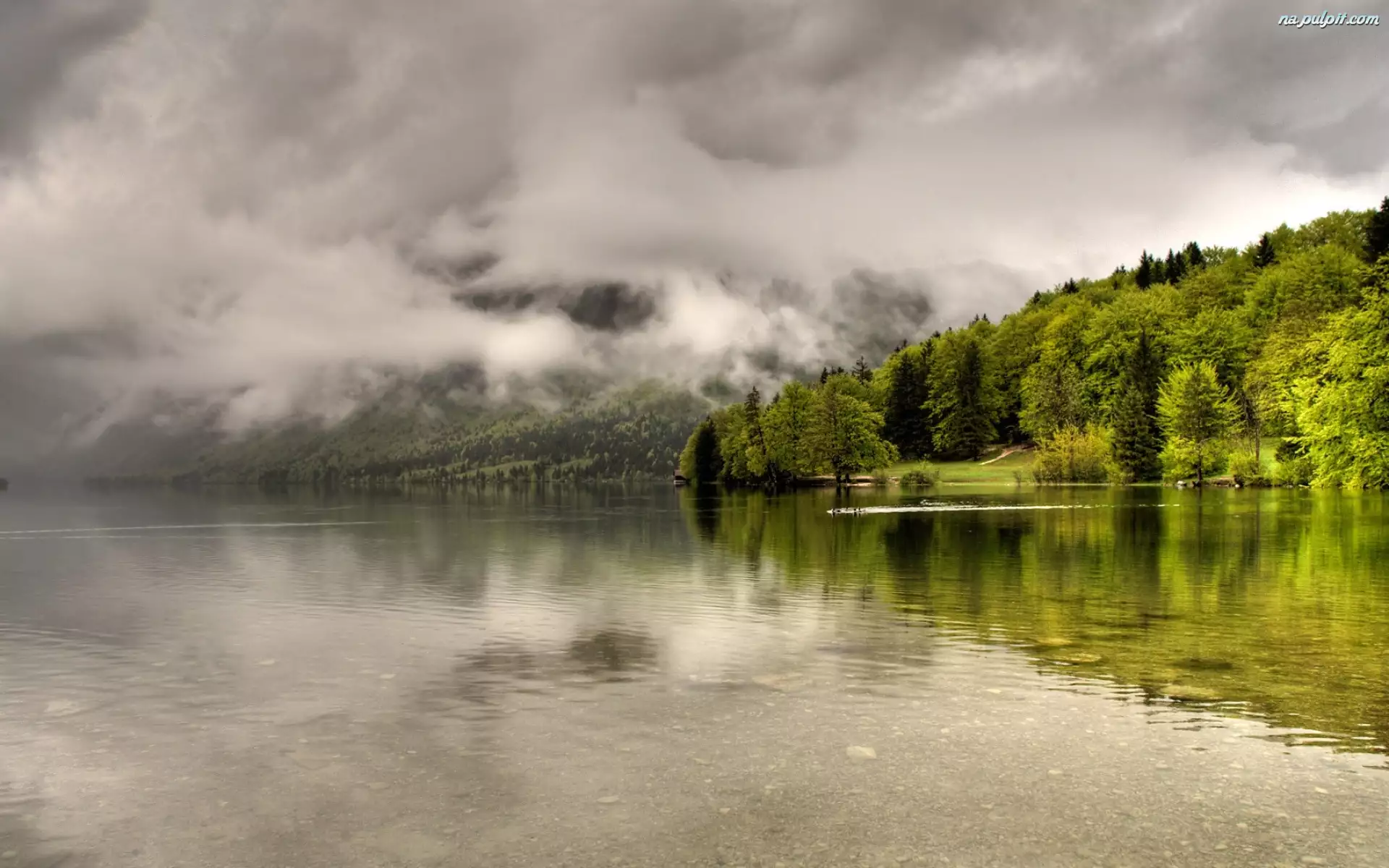 Mgła, Jezioro, Chmury