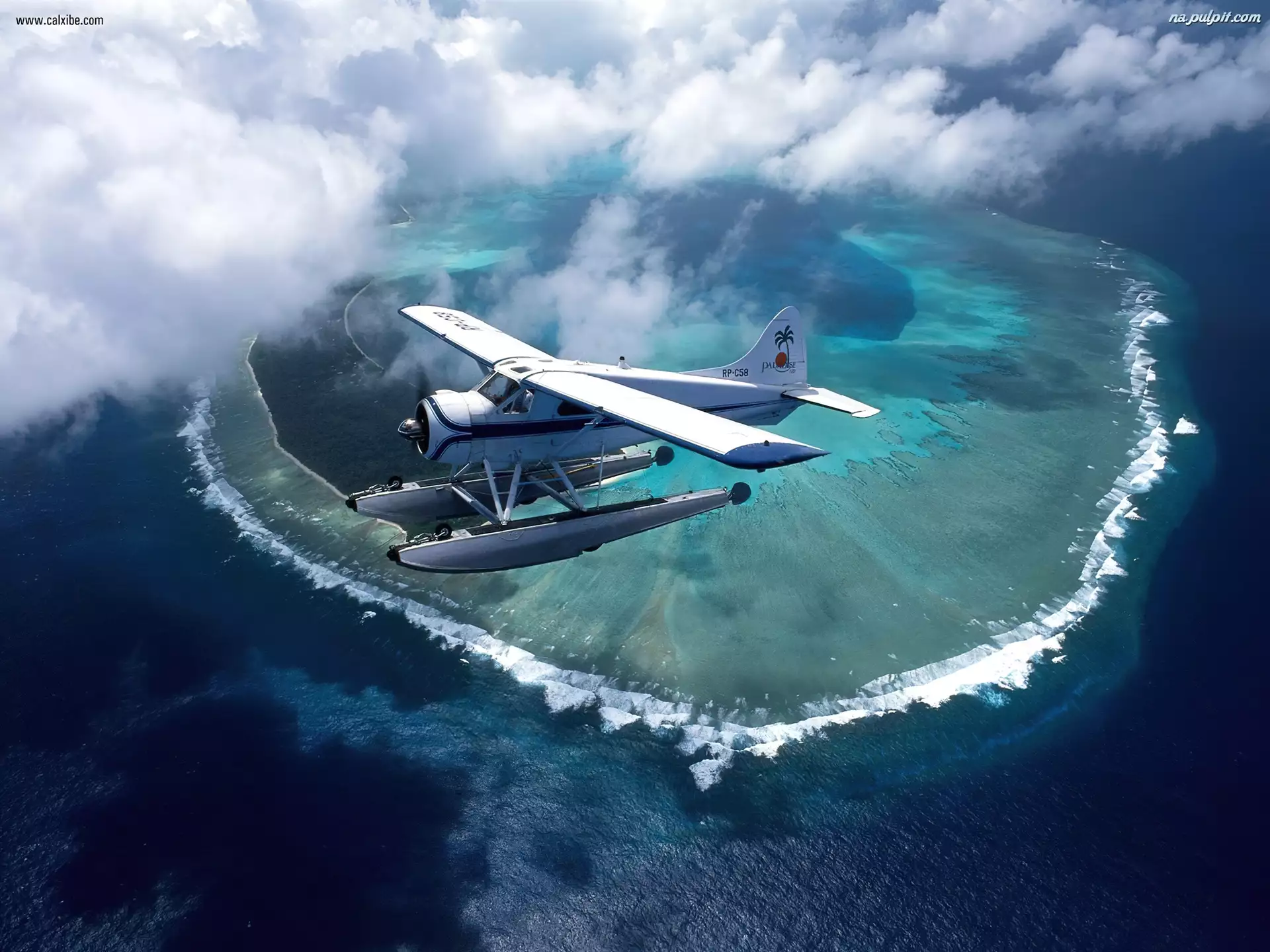 Wyspa, De Havilland DHC-2