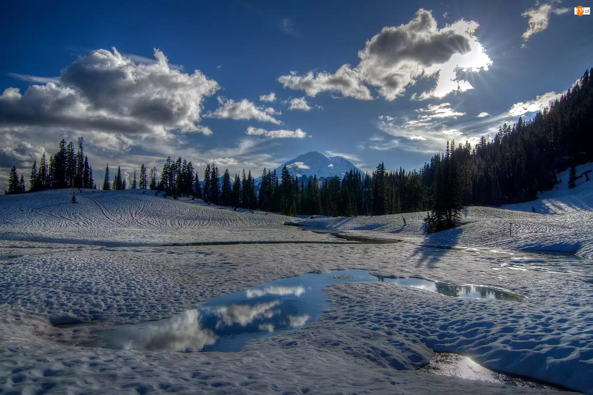 Las, Park Narodowy Mount Rainier, Zima, USA, Jezioro Tipsoo, Promienie Słońca