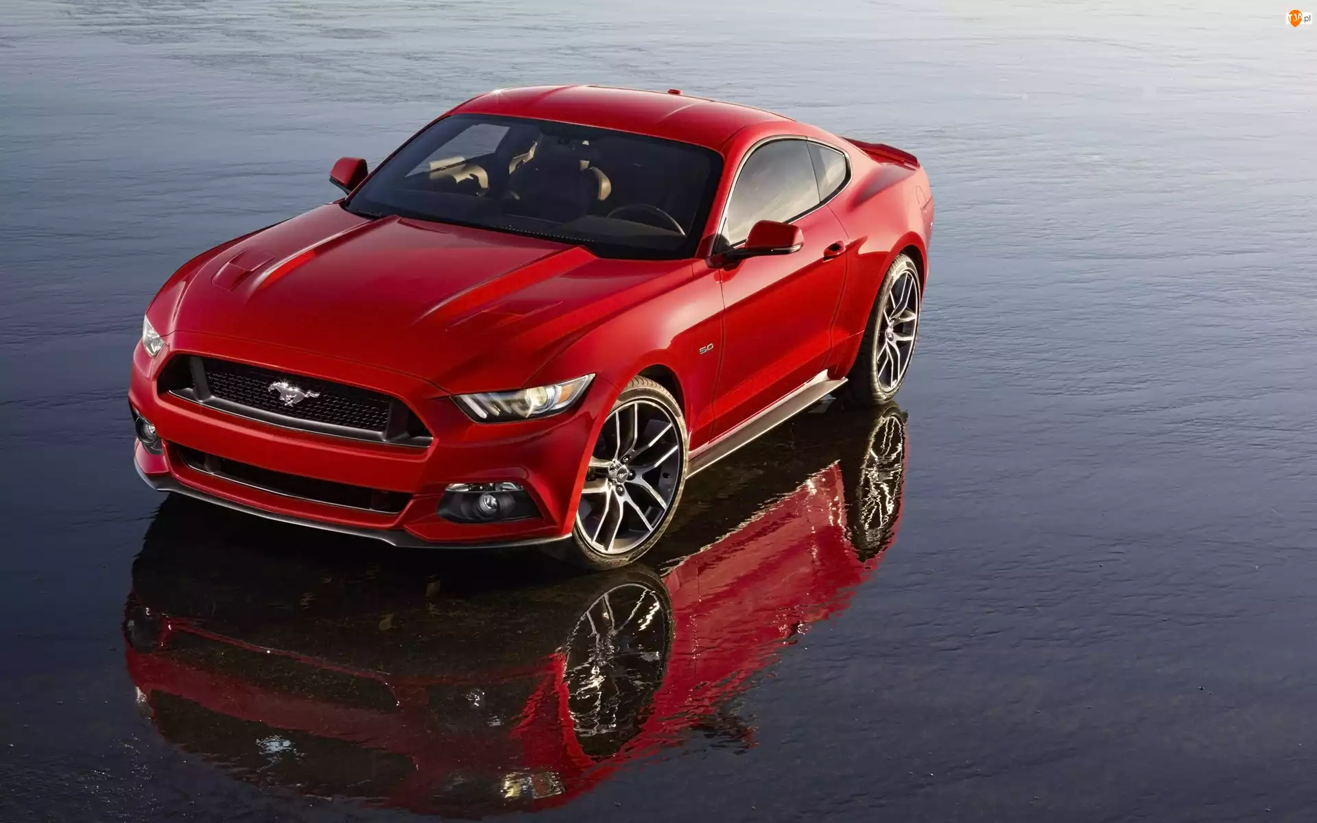 Mustang, Czerwony, Ford