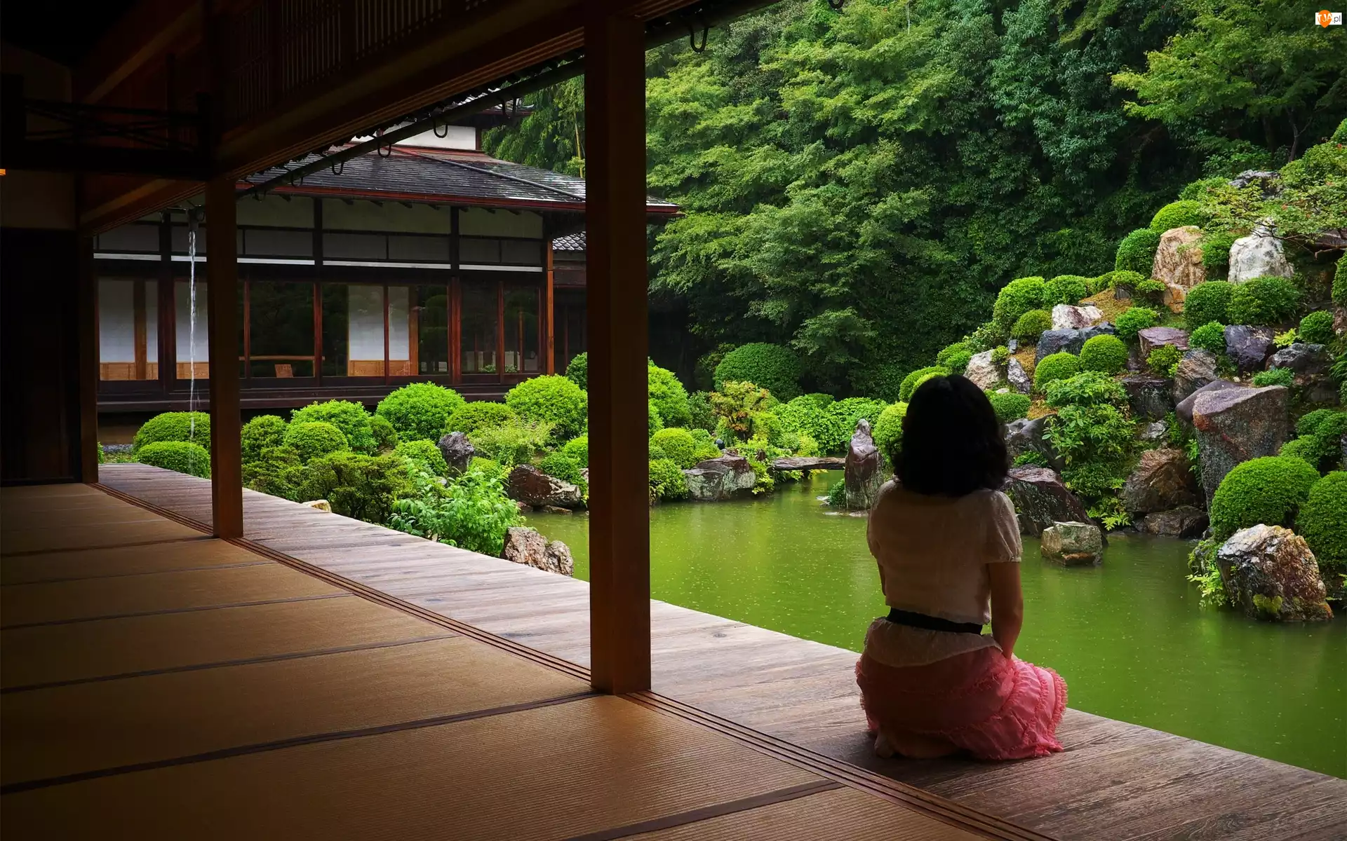 Dom, Dziewczyna, Ogród, Japonia