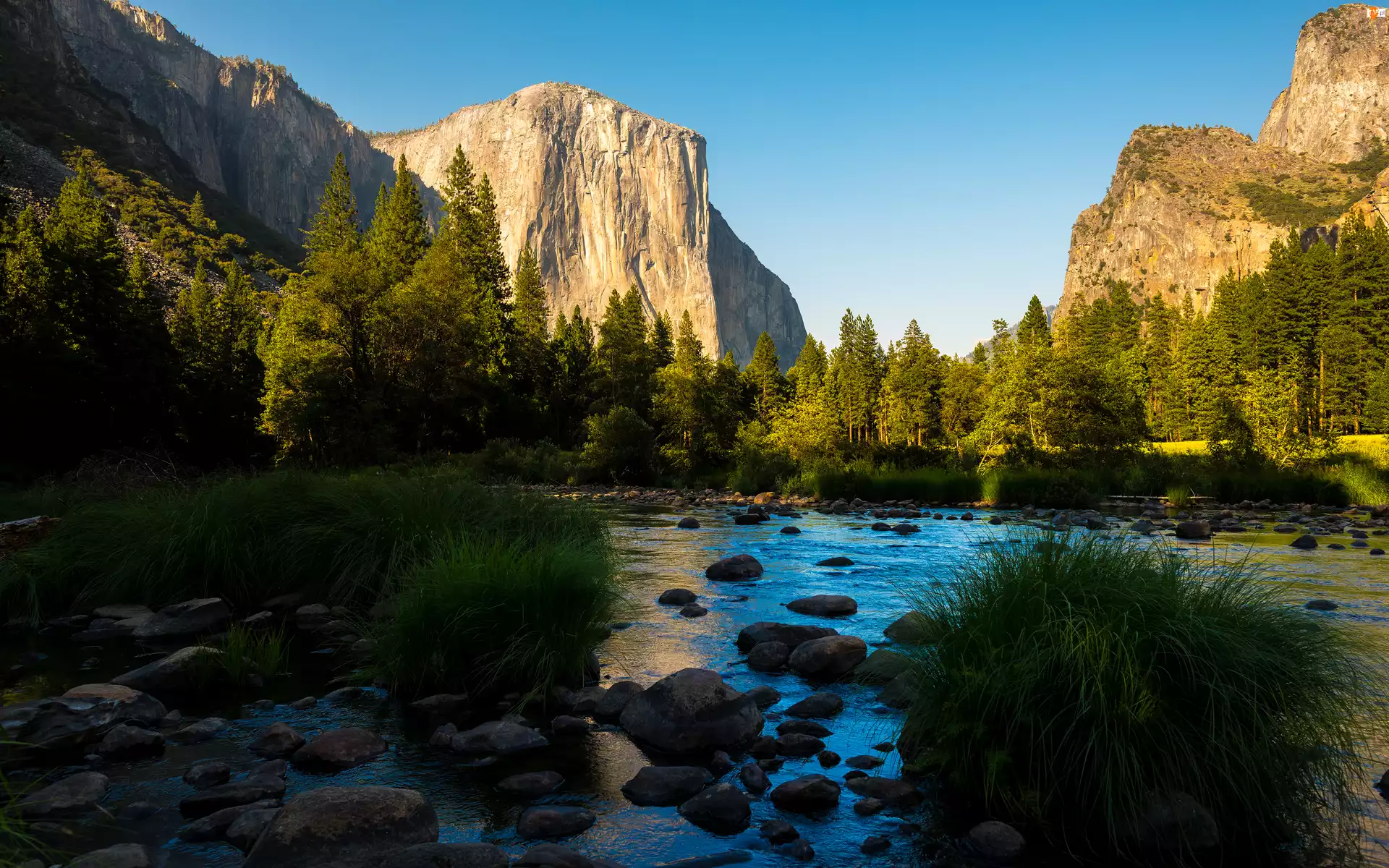 Stan Kalifornia, Park Narodowy Yosemite, Rzeki, Stany Zjednoczone, Dolina, Las, Góry Sierra Nevada