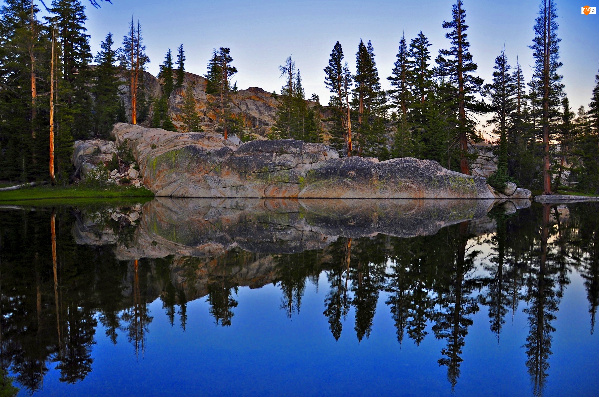 Park Narodowy Yosemite, Lasy, Stany Zjednoczone, Skała, Stan Kalifornia, Góry