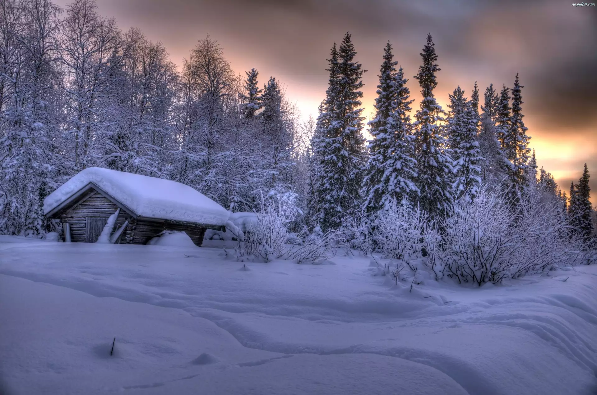 Zima, Drzewa, Dom, Śnieg