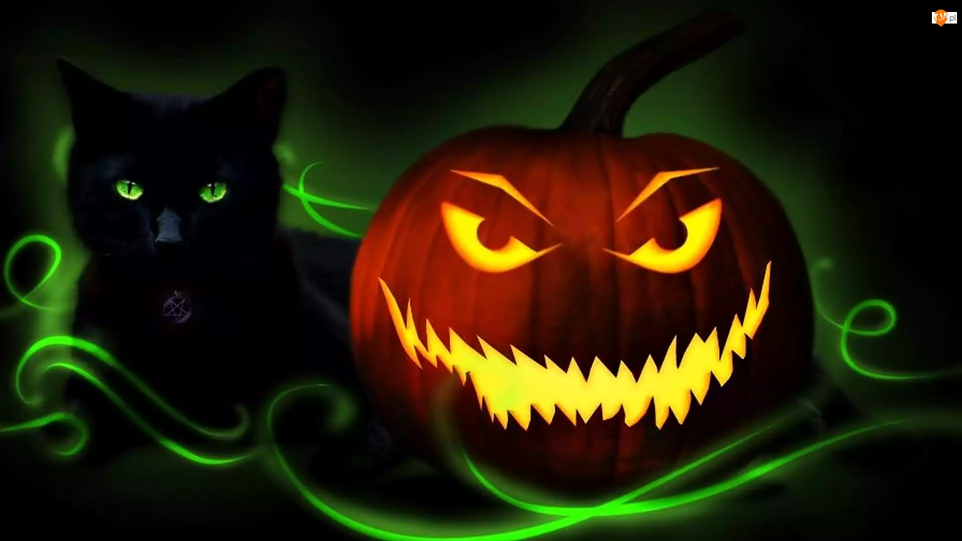 Kot, Halloween, Dynia, Świecąca, Czarny