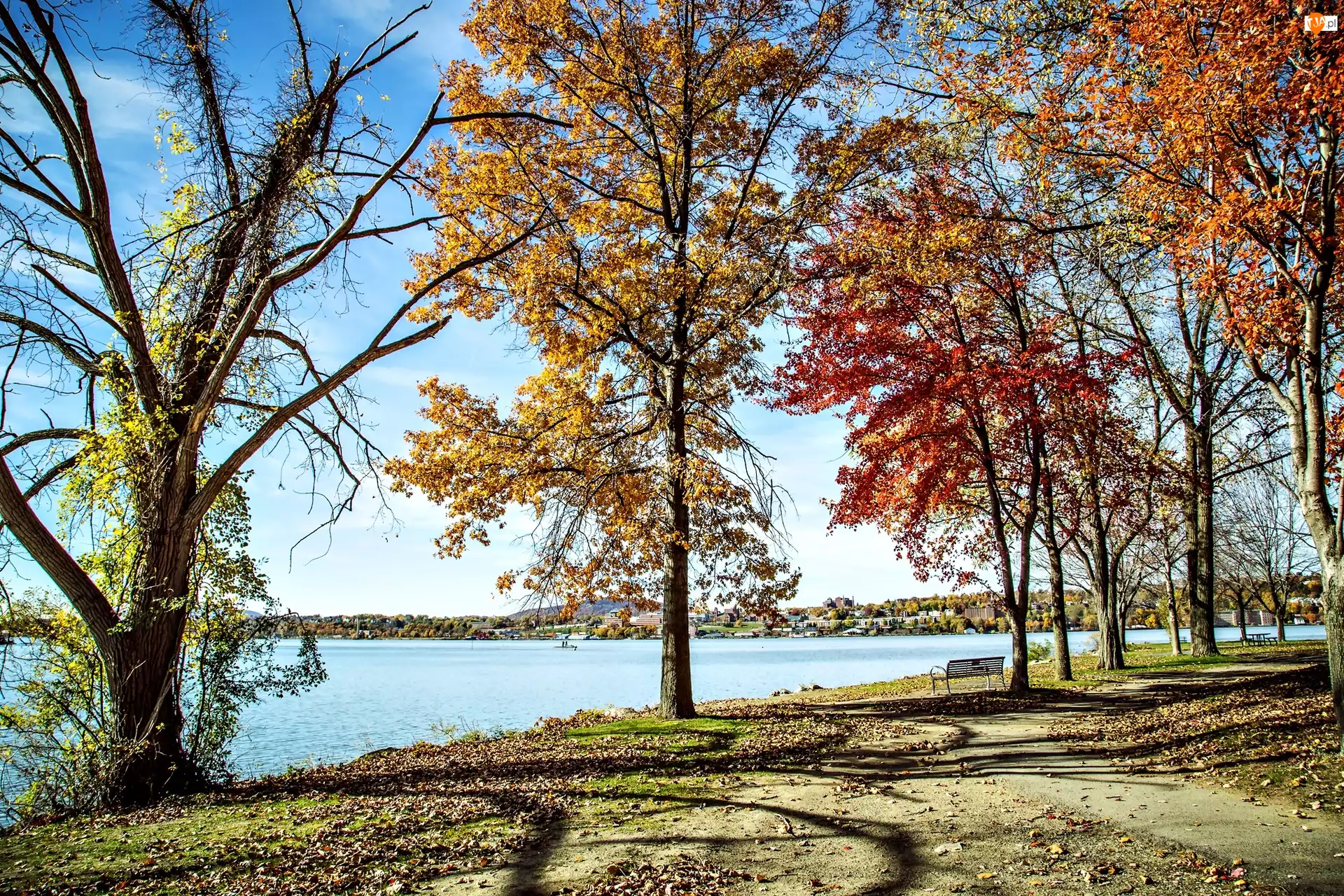 Krajobraz, Jesień, Kolorowe Drzewa, Park, Jezioro