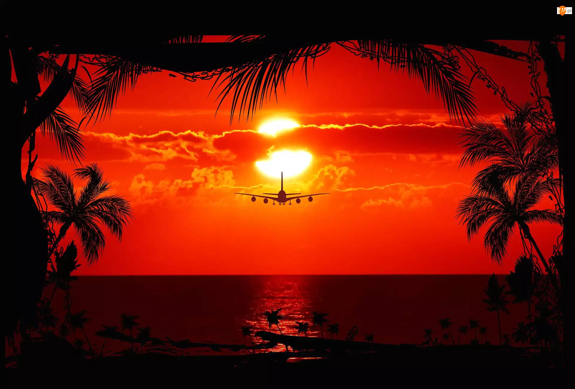 Samolot, Zachód, Morze, Słońca, Palmy