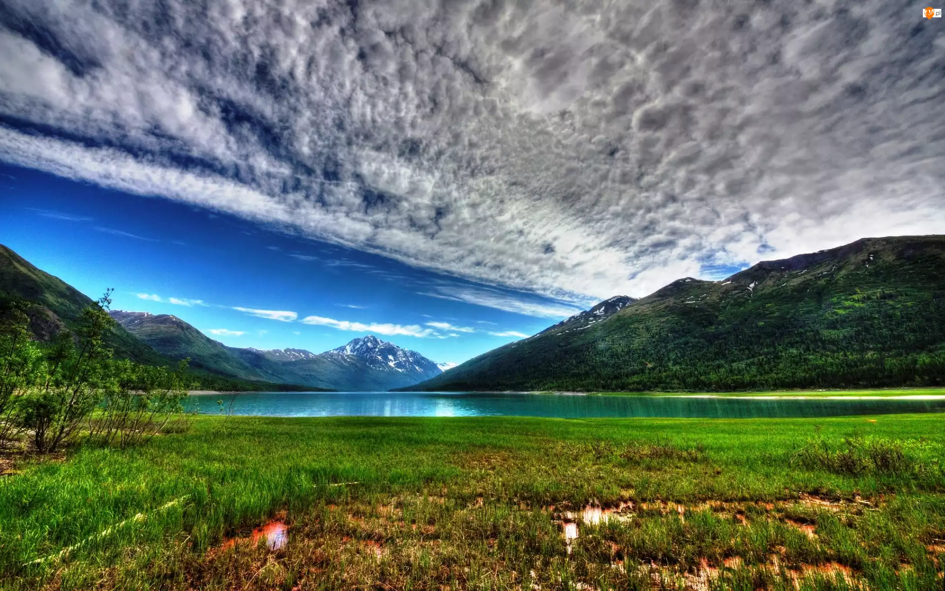 Alaska, Góry, Jezioro, Łąka