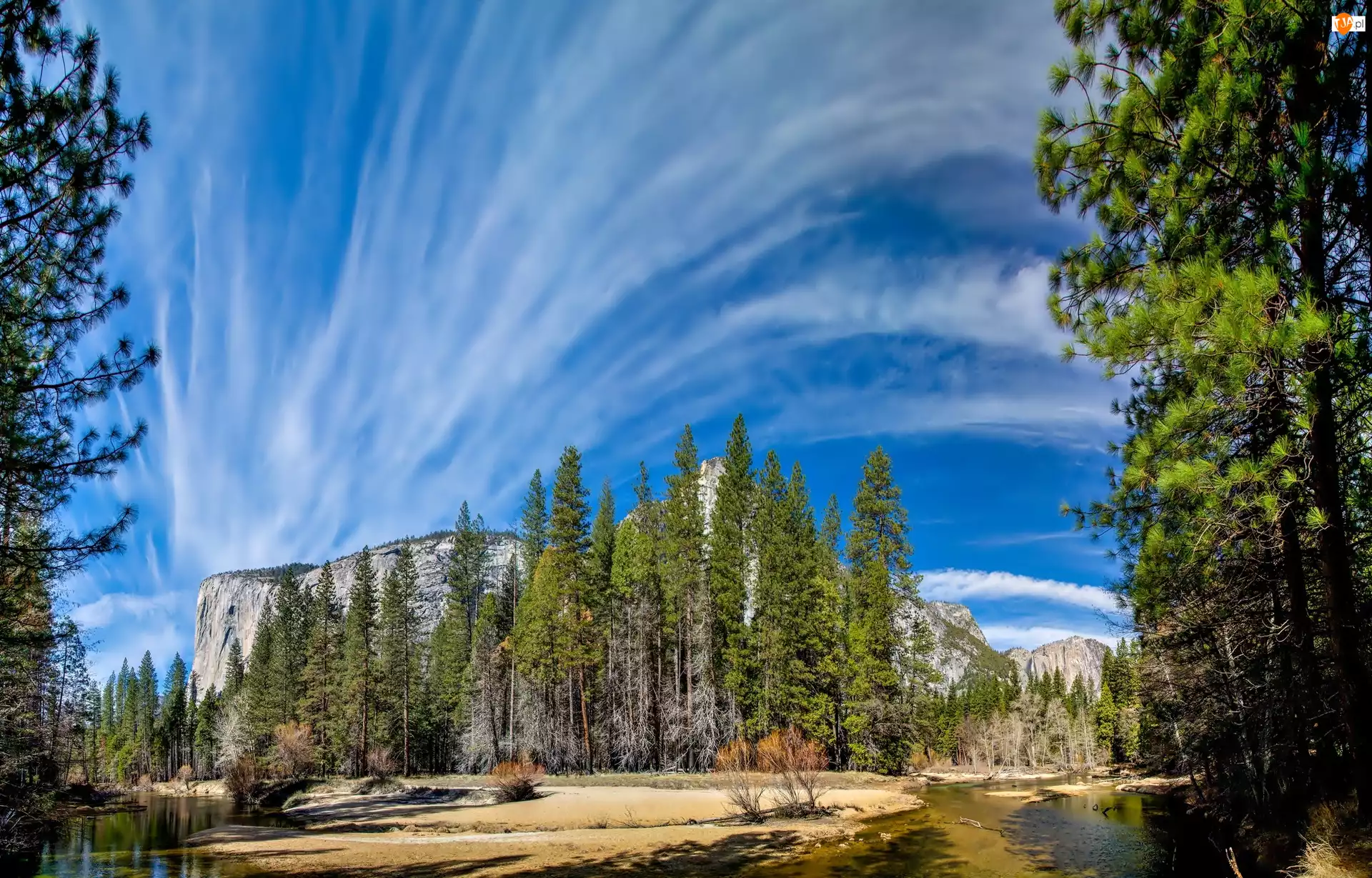 Stan Kalifornia, Stany Zjednoczone, Drzewa, Góry, Park Narodowy Yosemite, Niebo
